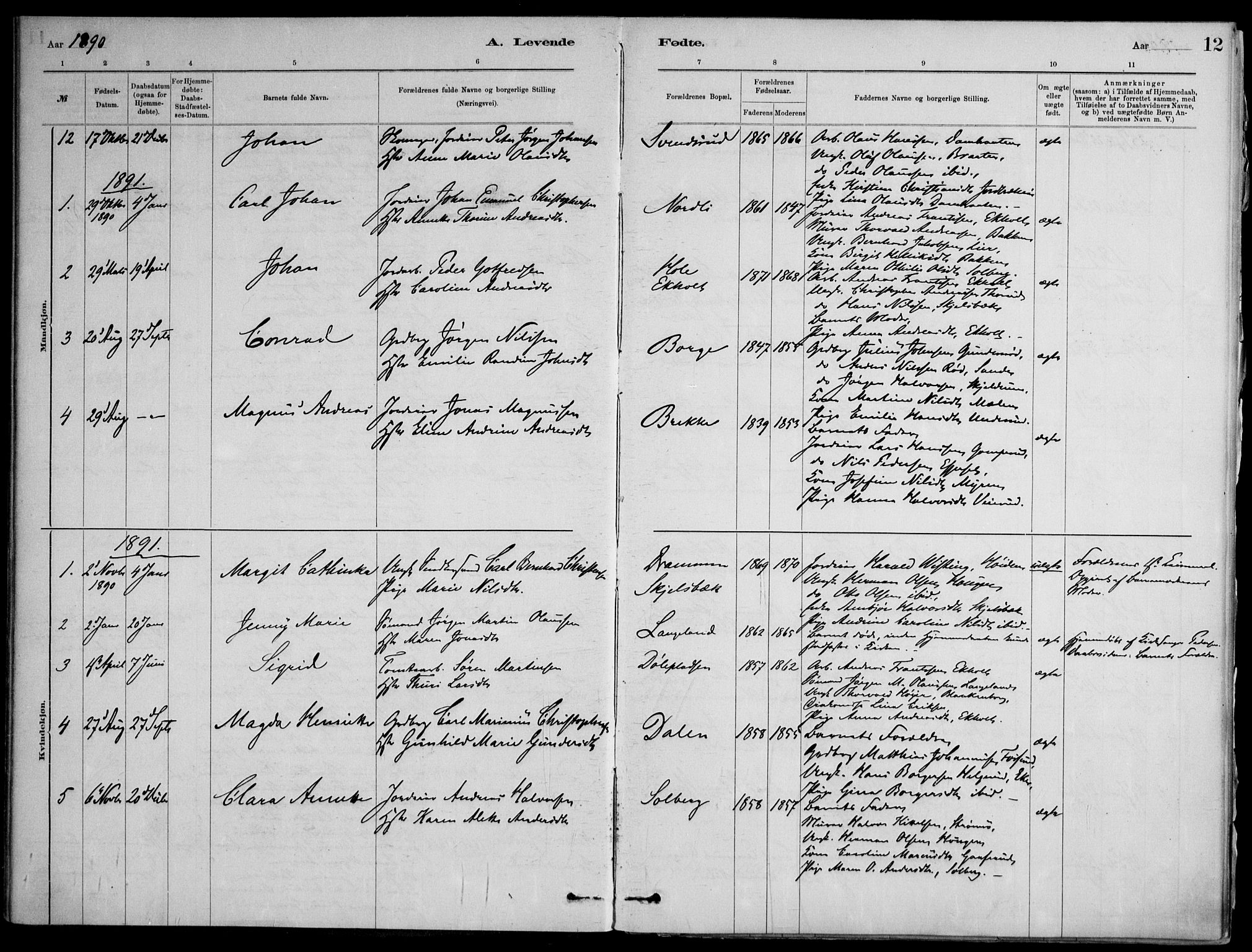 Skoger kirkebøker, SAKO/A-59/F/Fb/L0001: Parish register (official) no. II 1, 1885-1913, p. 12