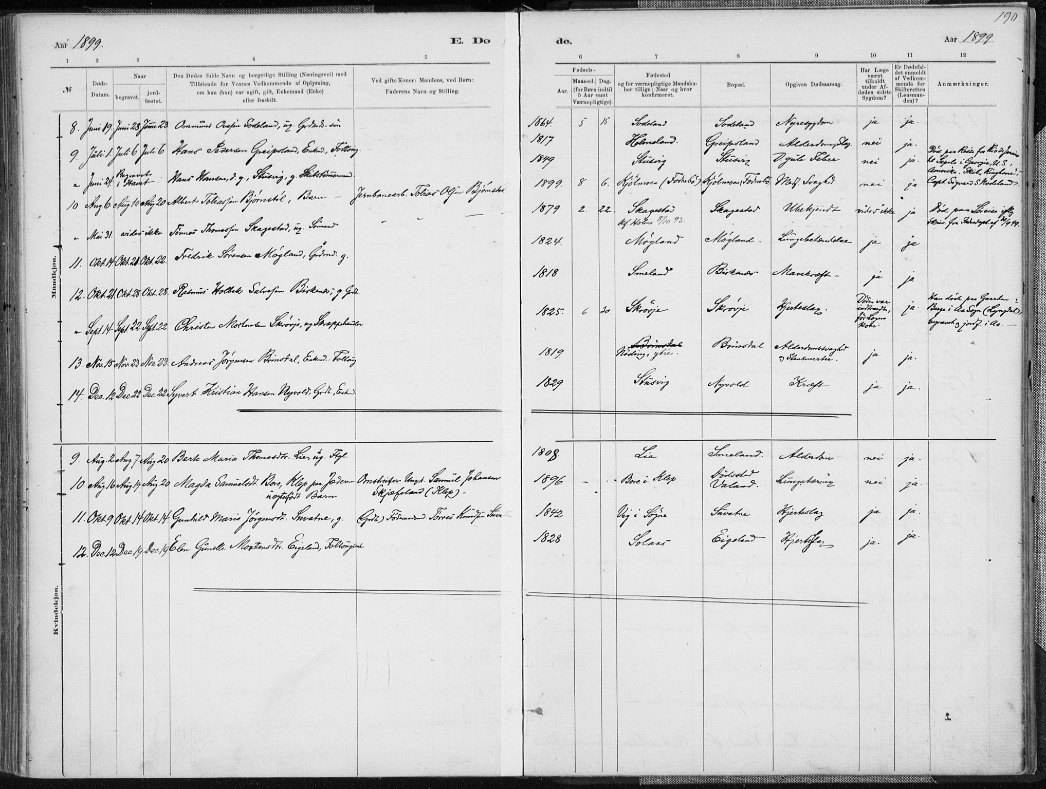 Holum sokneprestkontor, SAK/1111-0022/F/Fa/Faa/L0007: Parish register (official) no. A 7, 1884-1907, p. 190