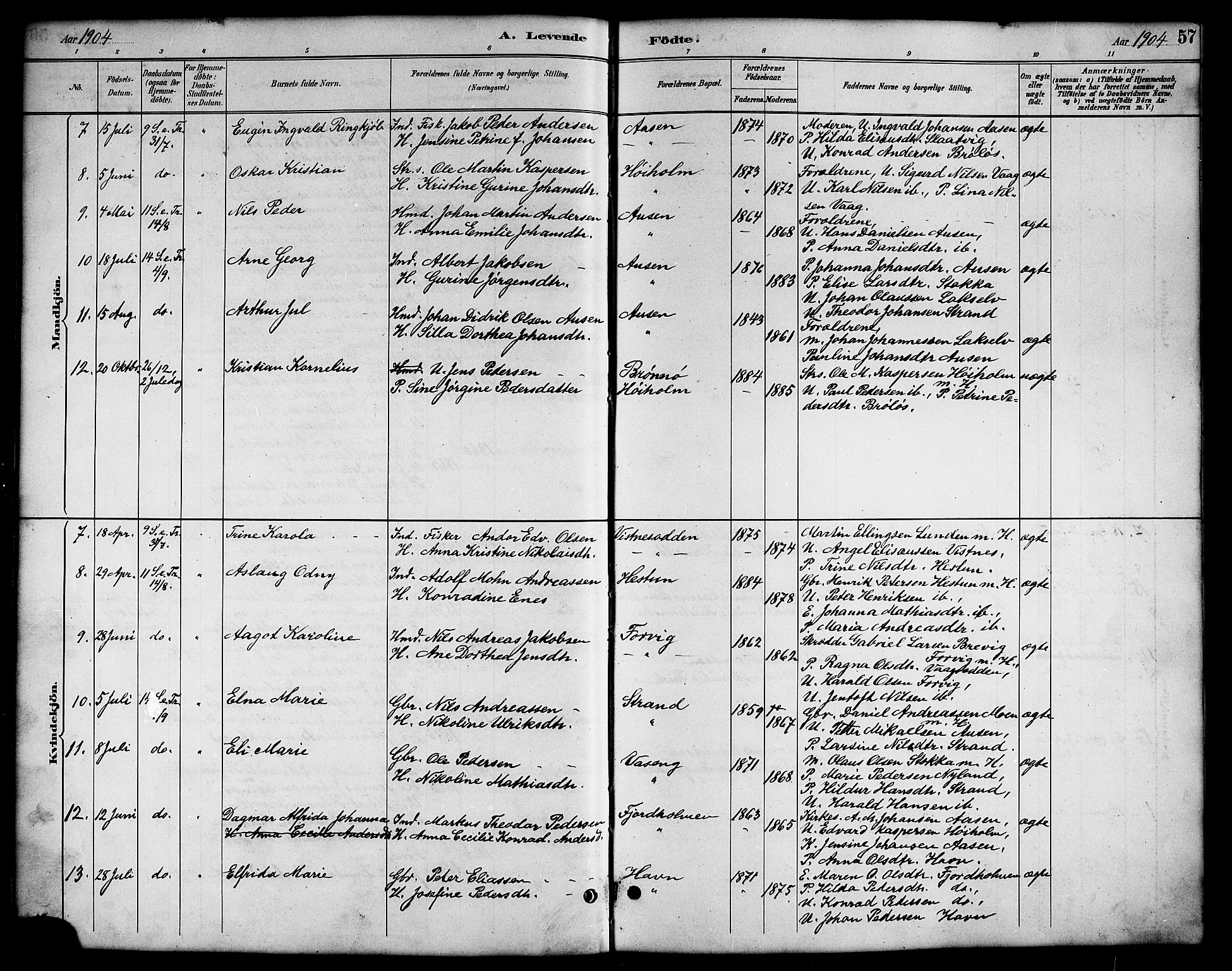 Ministerialprotokoller, klokkerbøker og fødselsregistre - Nordland, AV/SAT-A-1459/819/L0277: Parish register (copy) no. 819C03, 1888-1917, p. 57