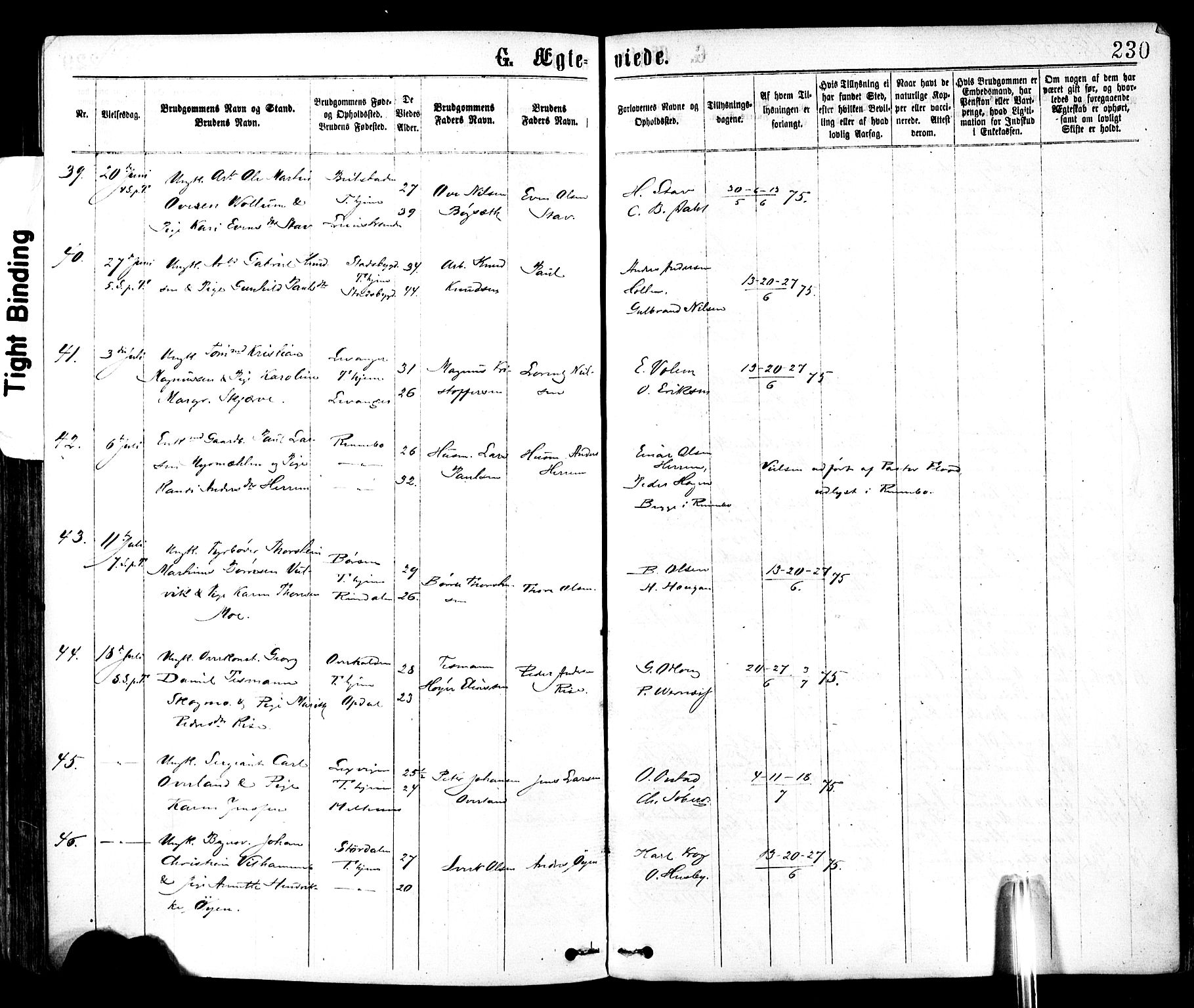 Ministerialprotokoller, klokkerbøker og fødselsregistre - Sør-Trøndelag, AV/SAT-A-1456/602/L0118: Parish register (official) no. 602A16, 1873-1879, p. 230