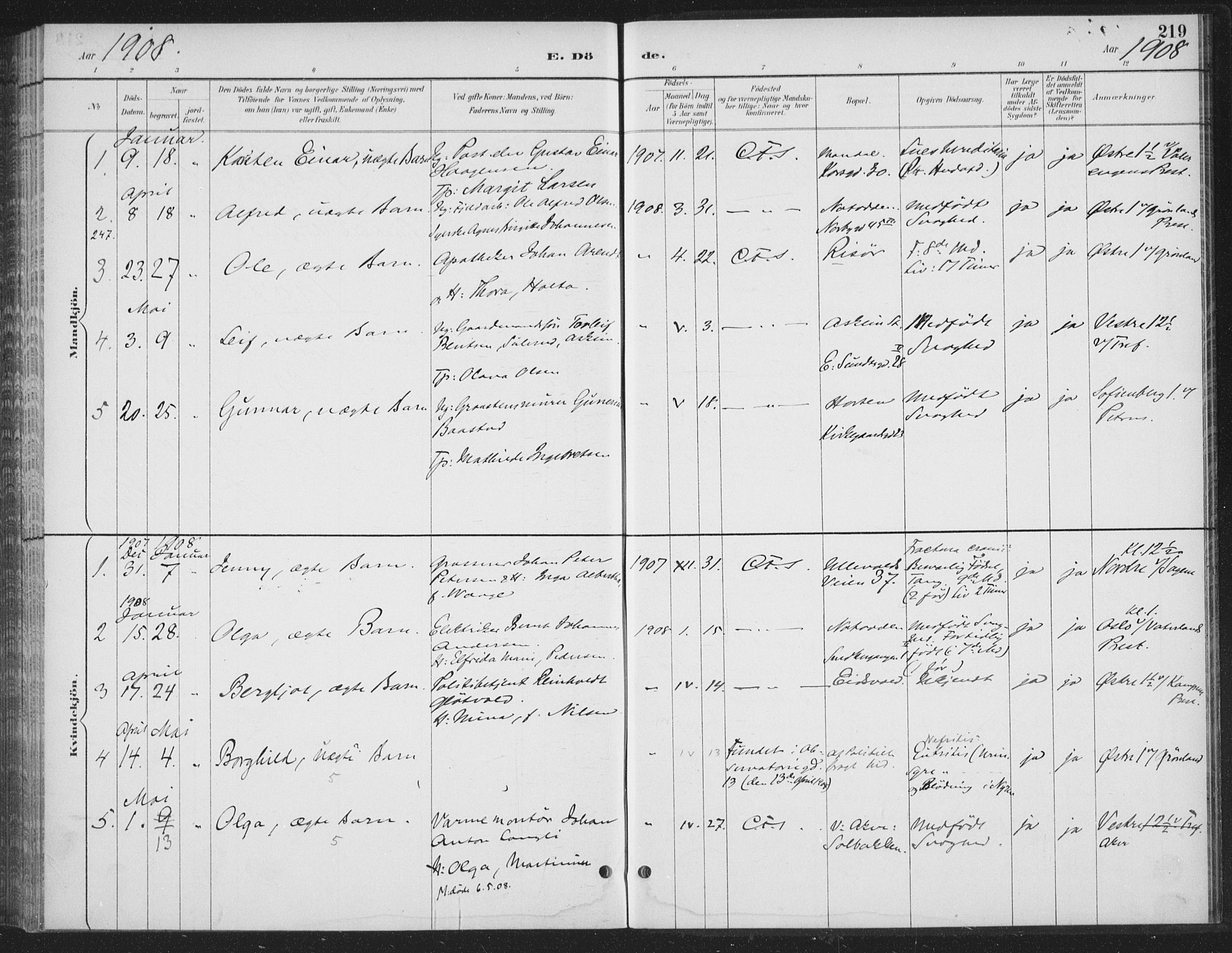 Rikshospitalet prestekontor Kirkebøker, SAO/A-10309b/F/L0010: Parish register (official) no. 10, 1888-1912, p. 219