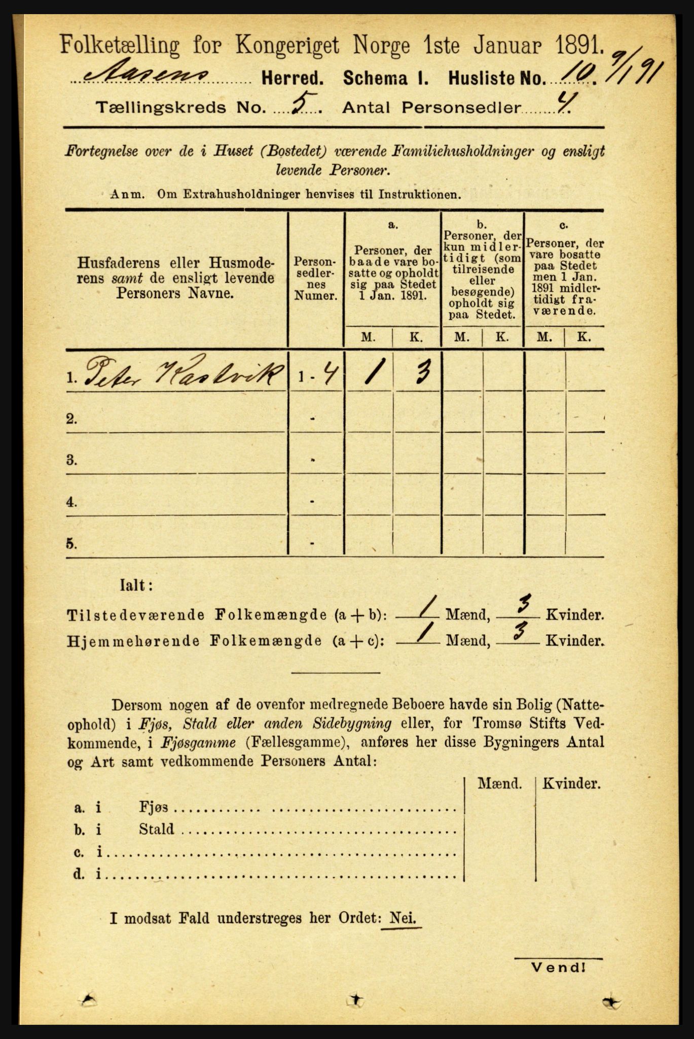 RA, 1891 census for 1716 Åsen, 1891, p. 1916