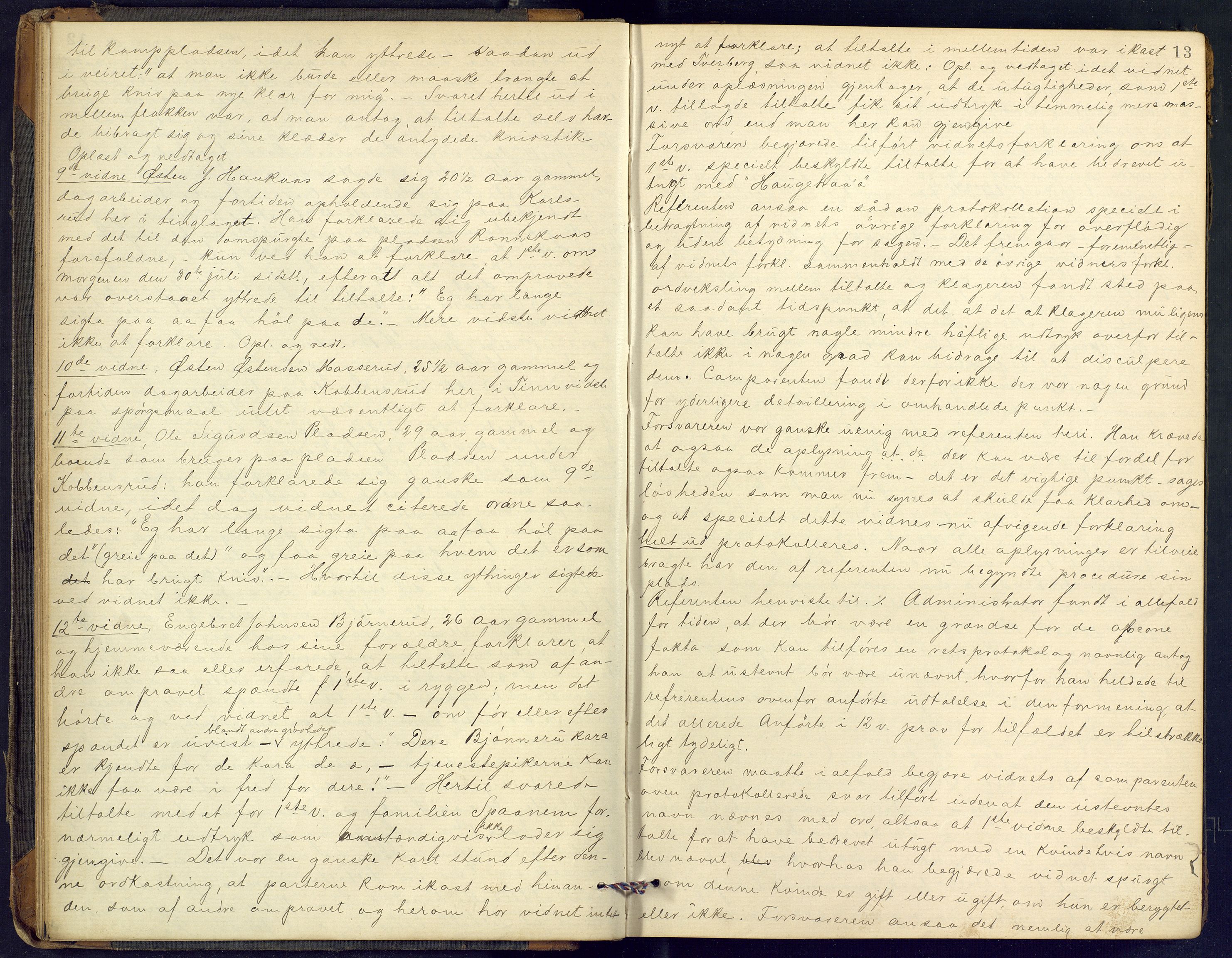 Øvre Telemark østfjelske sorenskriveri, AV/SAKO-A-213/F/Fc/Fcb/L0011: Ekstrarettsprotokoll, straffesaker, 1888-1897, p. 13