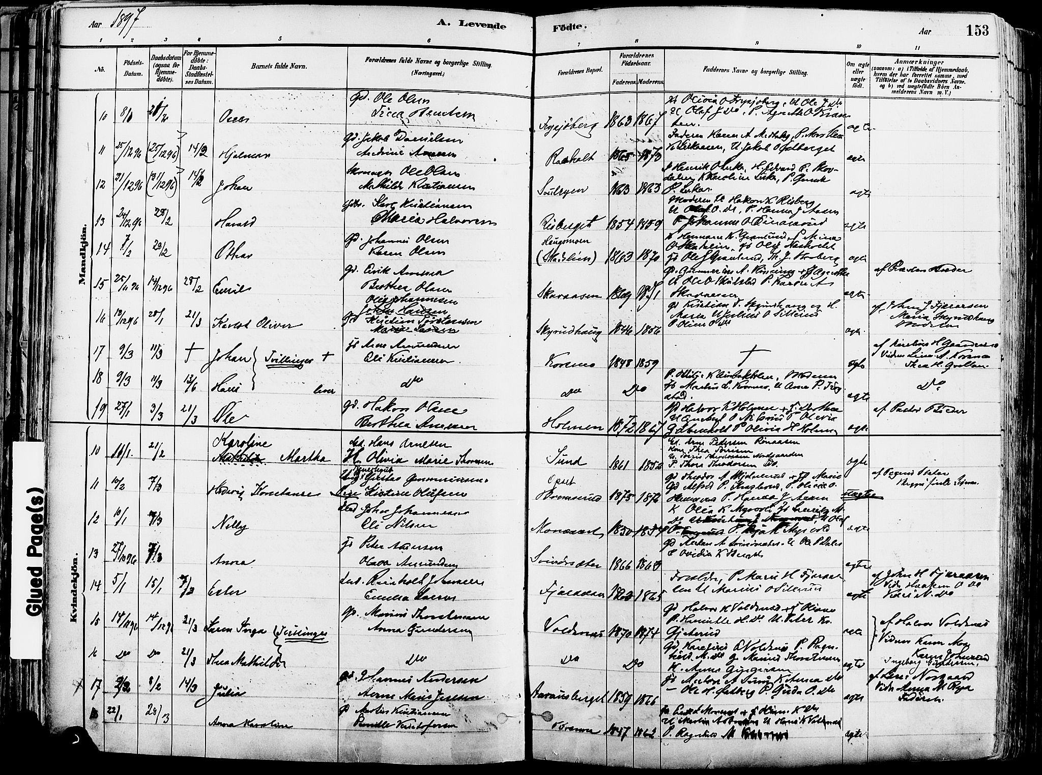 Grue prestekontor, SAH/PREST-036/H/Ha/Haa/L0012: Parish register (official) no. 12, 1881-1897, p. 153