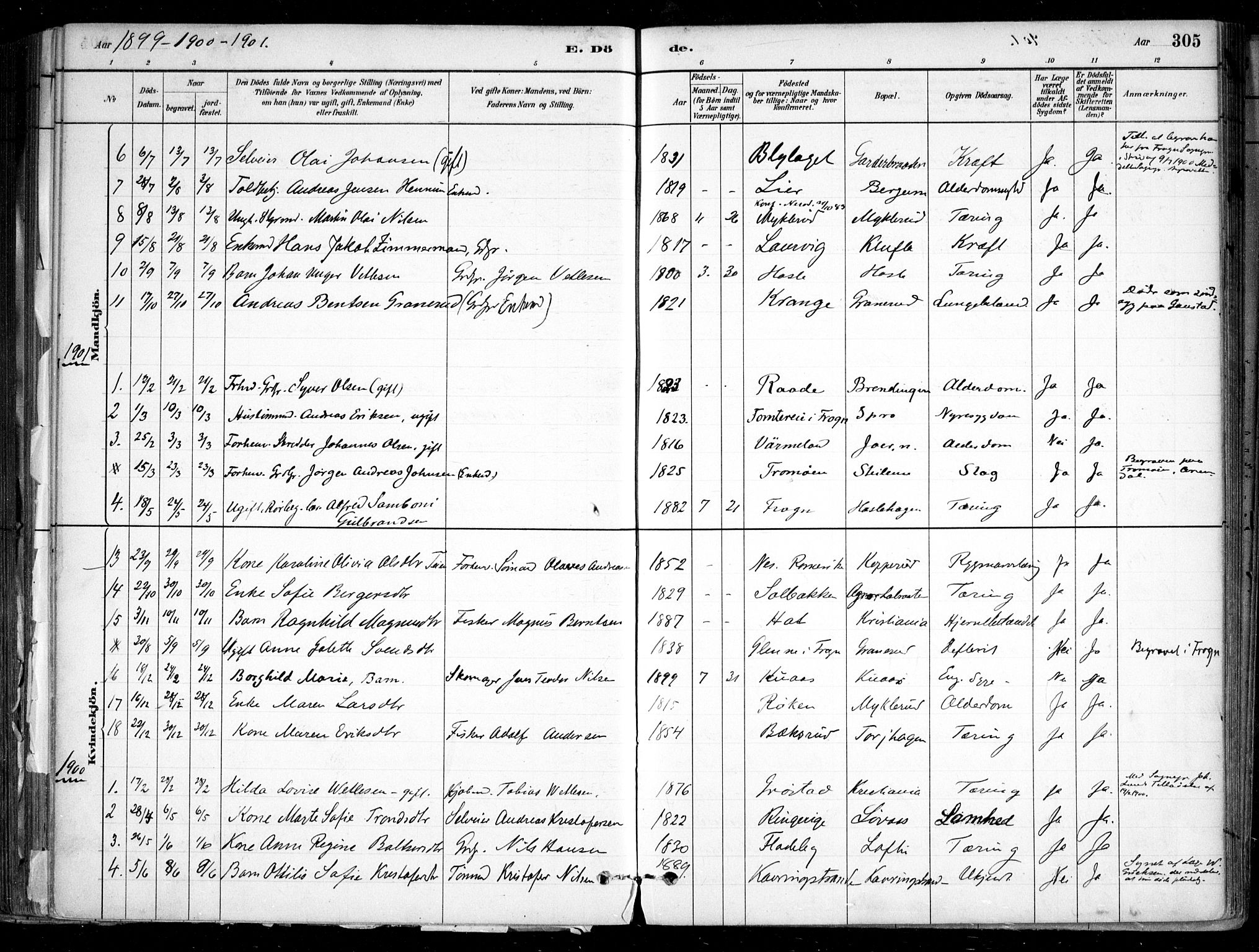 Nesodden prestekontor Kirkebøker, SAO/A-10013/F/Fa/L0009: Parish register (official) no. I 9, 1880-1915, p. 305