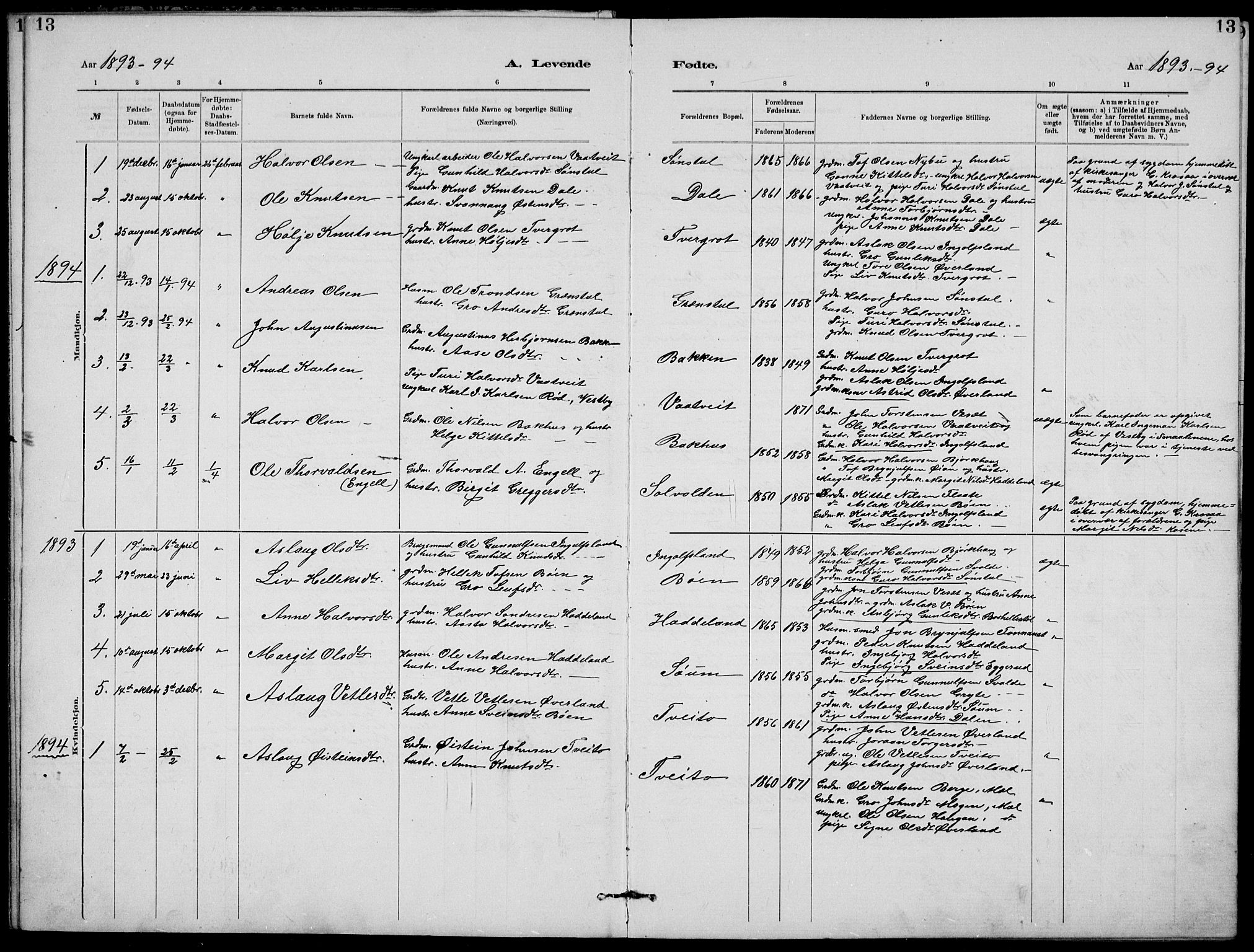 Rjukan kirkebøker, SAKO/A-294/G/Ga/L0001: Parish register (copy) no. 1, 1880-1914, p. 13