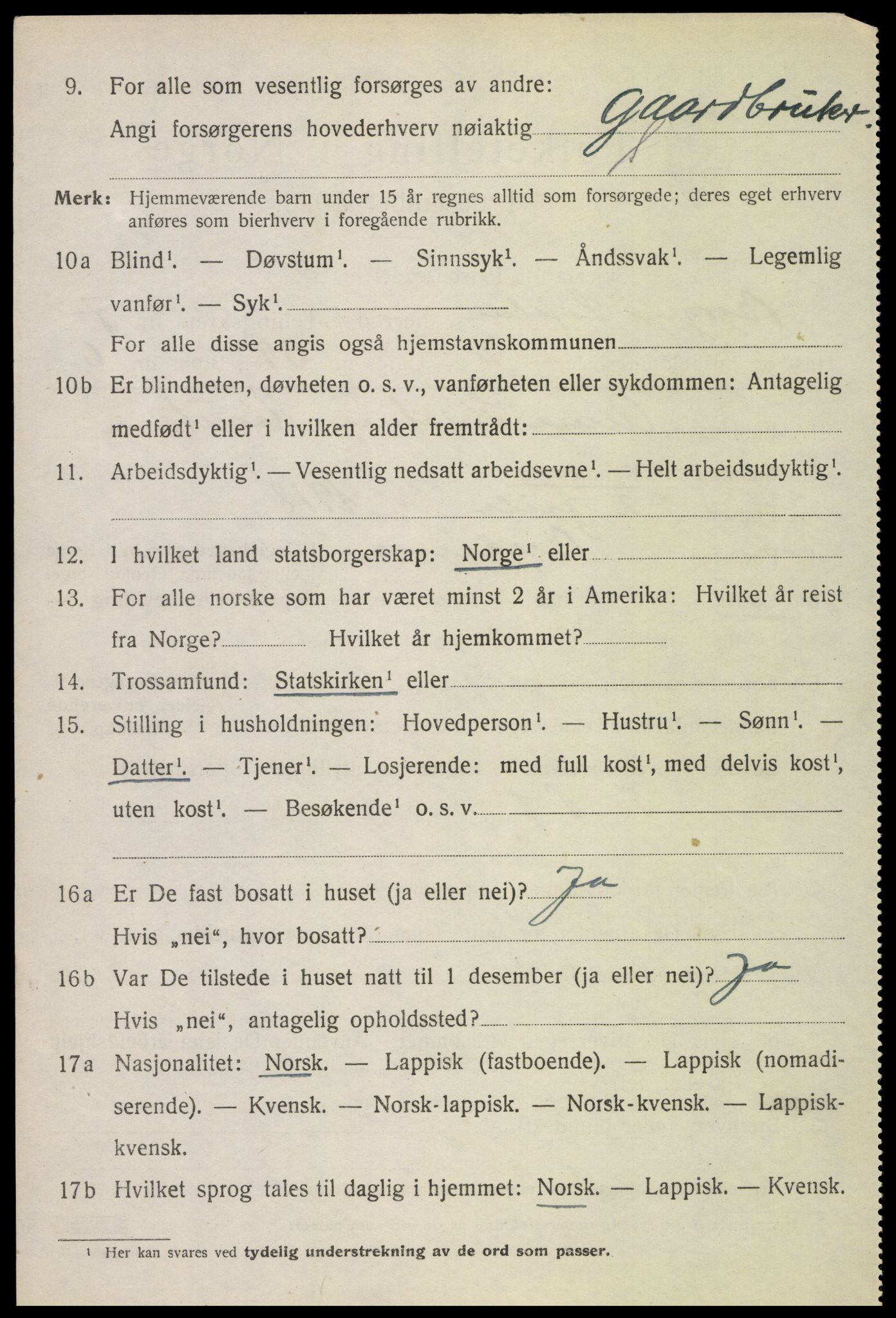 SAT, 1920 census for Borge, 1920, p. 6396