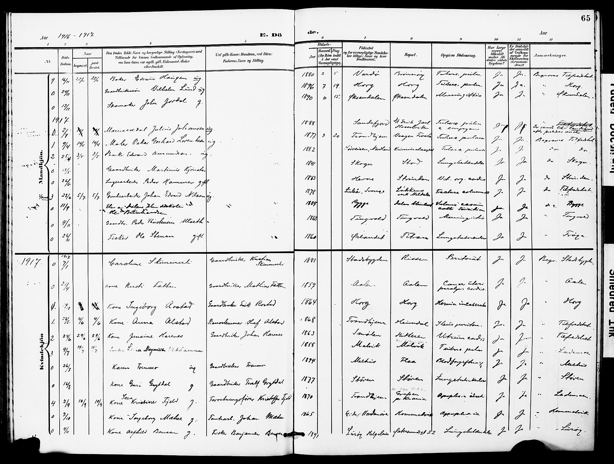 Ministerialprotokoller, klokkerbøker og fødselsregistre - Sør-Trøndelag, SAT/A-1456/628/L0483: Parish register (official) no. 628A01, 1902-1920, p. 65