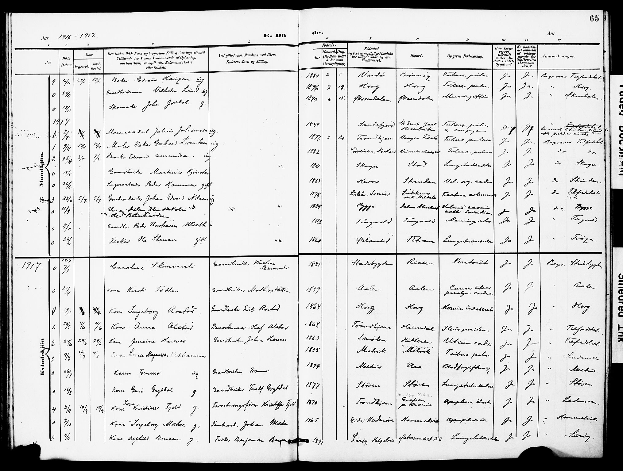 Ministerialprotokoller, klokkerbøker og fødselsregistre - Sør-Trøndelag, AV/SAT-A-1456/628/L0483: Parish register (official) no. 628A01, 1902-1920, p. 65