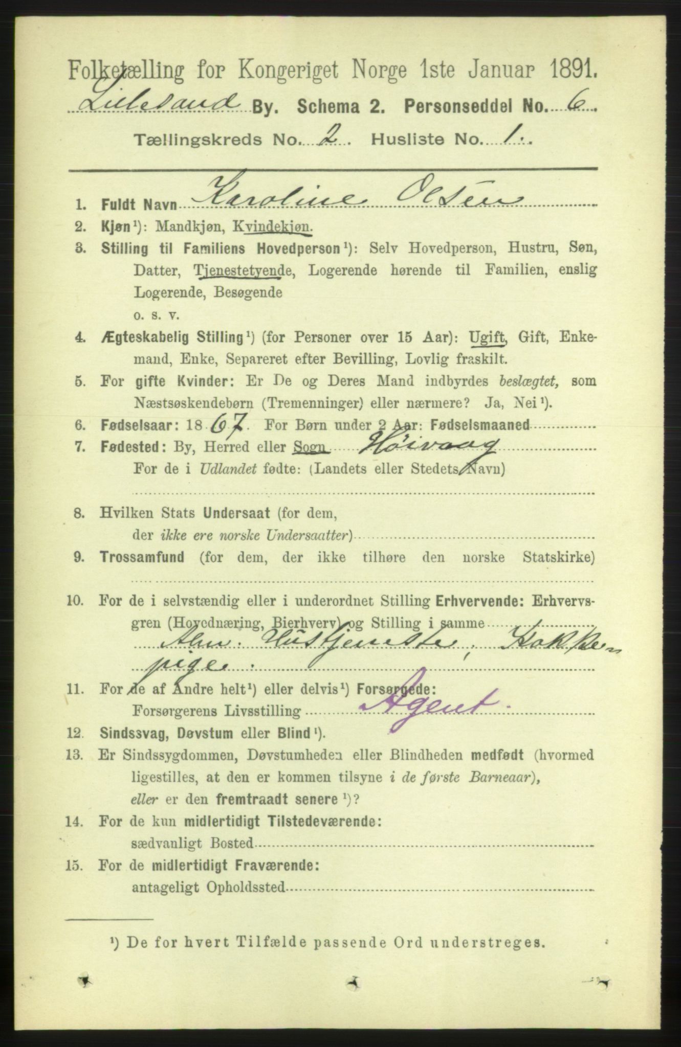 RA, 1891 census for 0905 Lillesand, 1891, p. 274