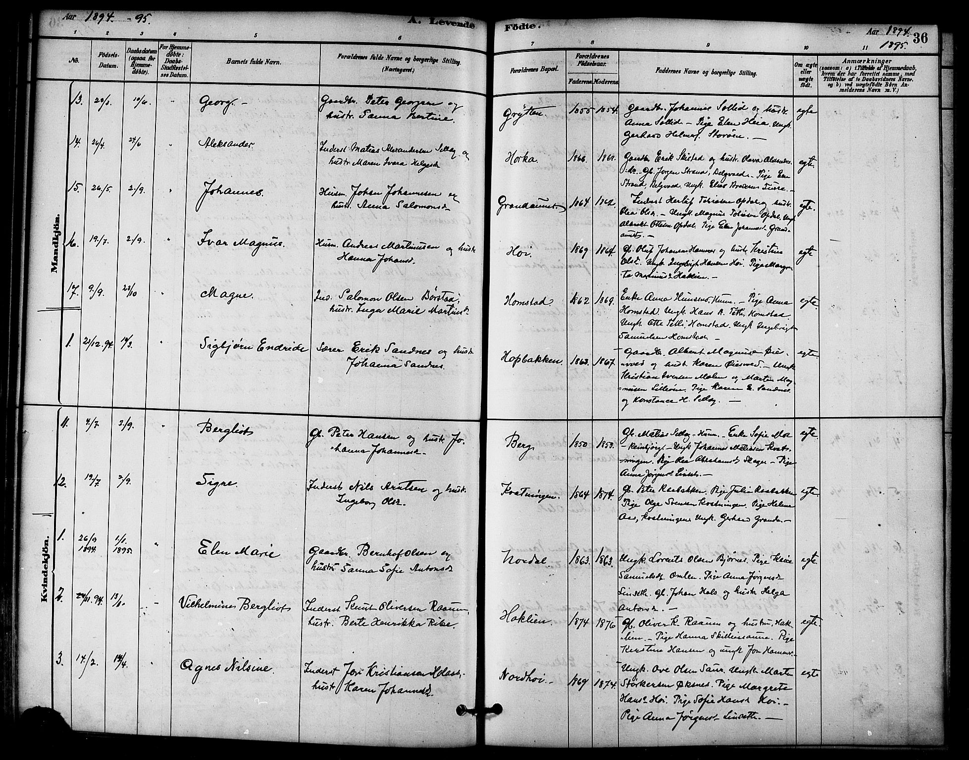 Ministerialprotokoller, klokkerbøker og fødselsregistre - Nord-Trøndelag, AV/SAT-A-1458/766/L0563: Parish register (official) no. 767A01, 1881-1899, p. 36