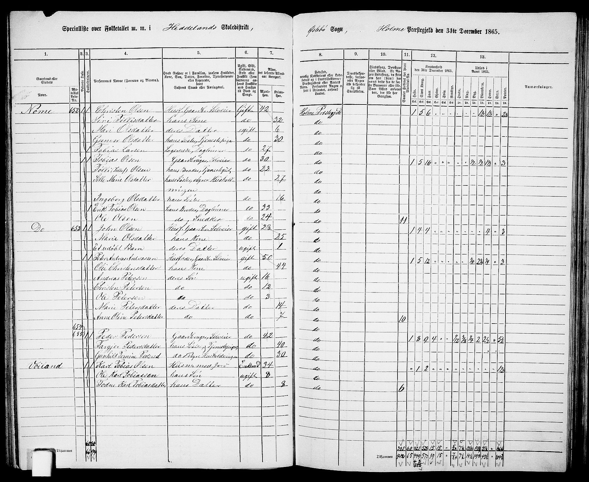 RA, 1865 census for Holum, 1865, p. 103