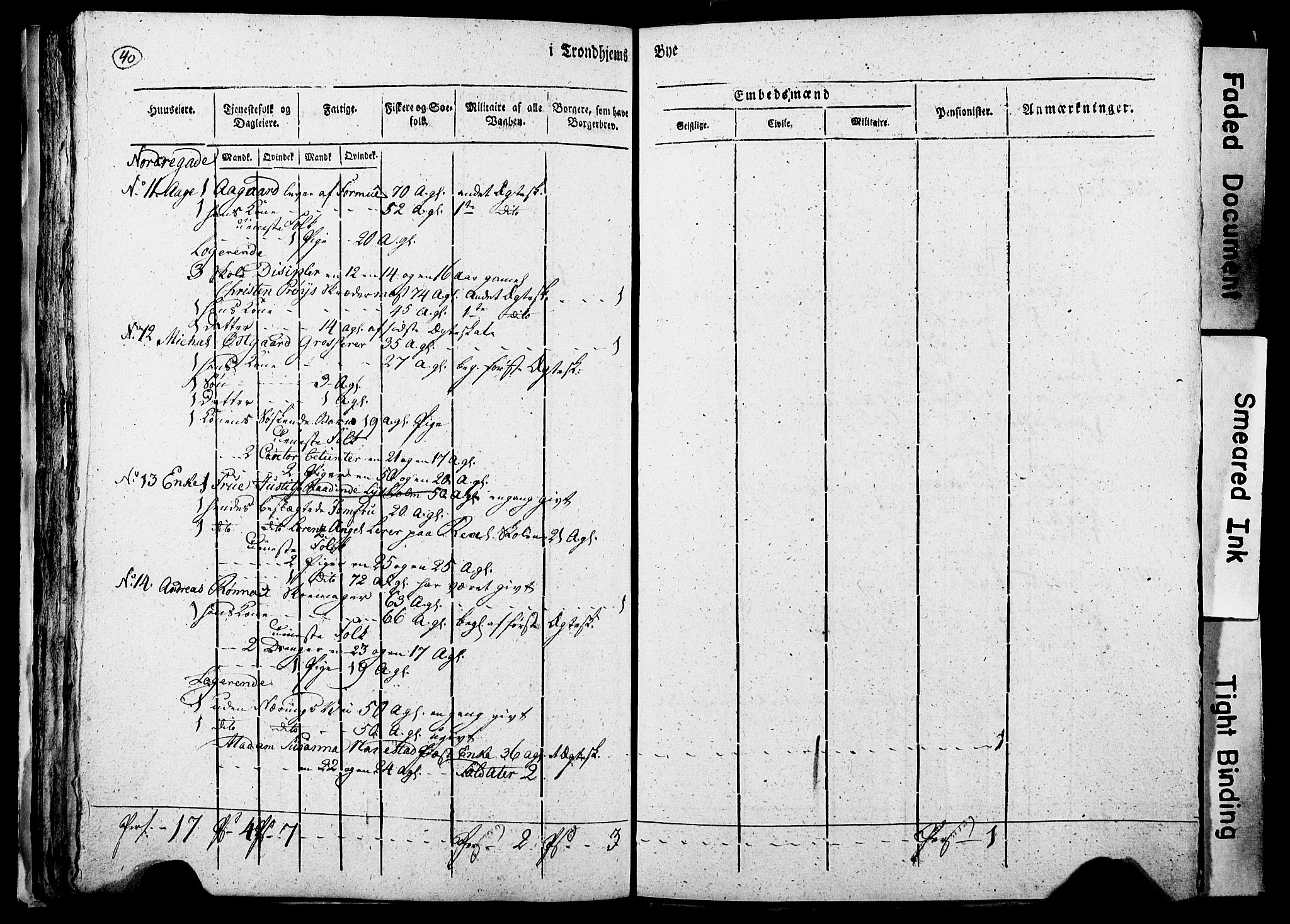 RA, Census 1815 for Trondheim, 1815, p. 241