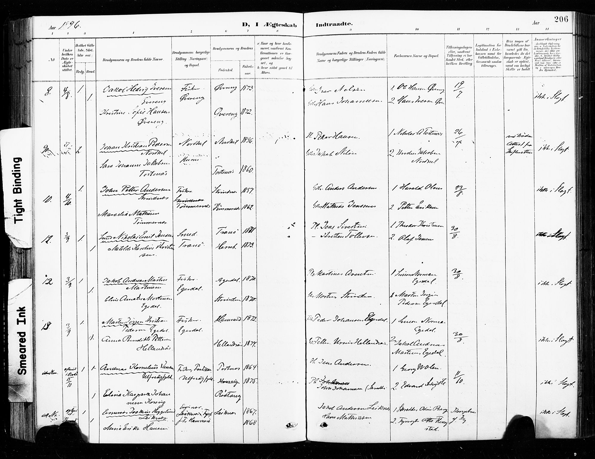 Ministerialprotokoller, klokkerbøker og fødselsregistre - Nordland, SAT/A-1459/859/L0847: Parish register (official) no. 859A07, 1890-1899, p. 206