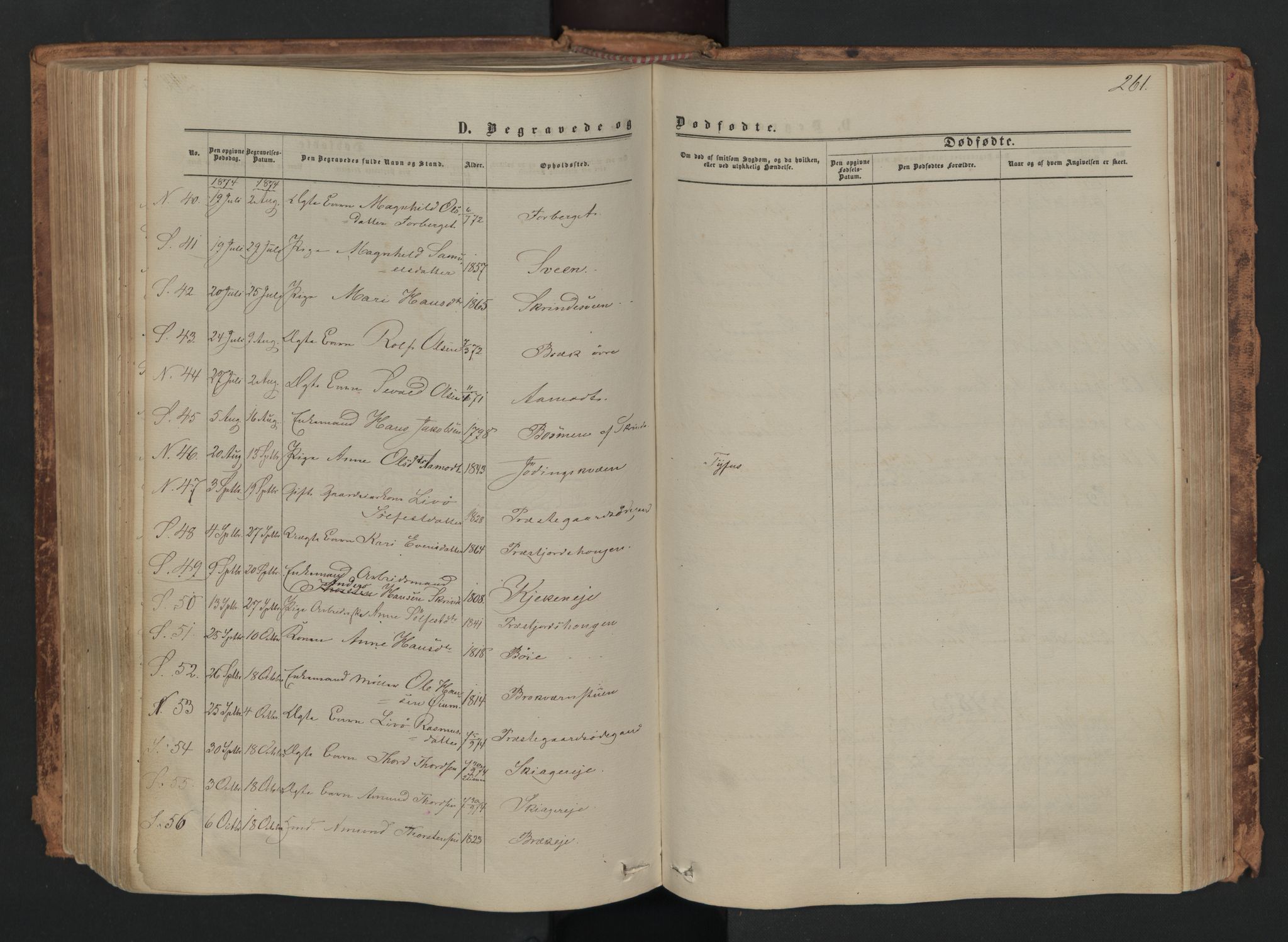 Skjåk prestekontor, SAH/PREST-072/H/Ha/Haa/L0001: Parish register (official) no. 1, 1863-1879, p. 261