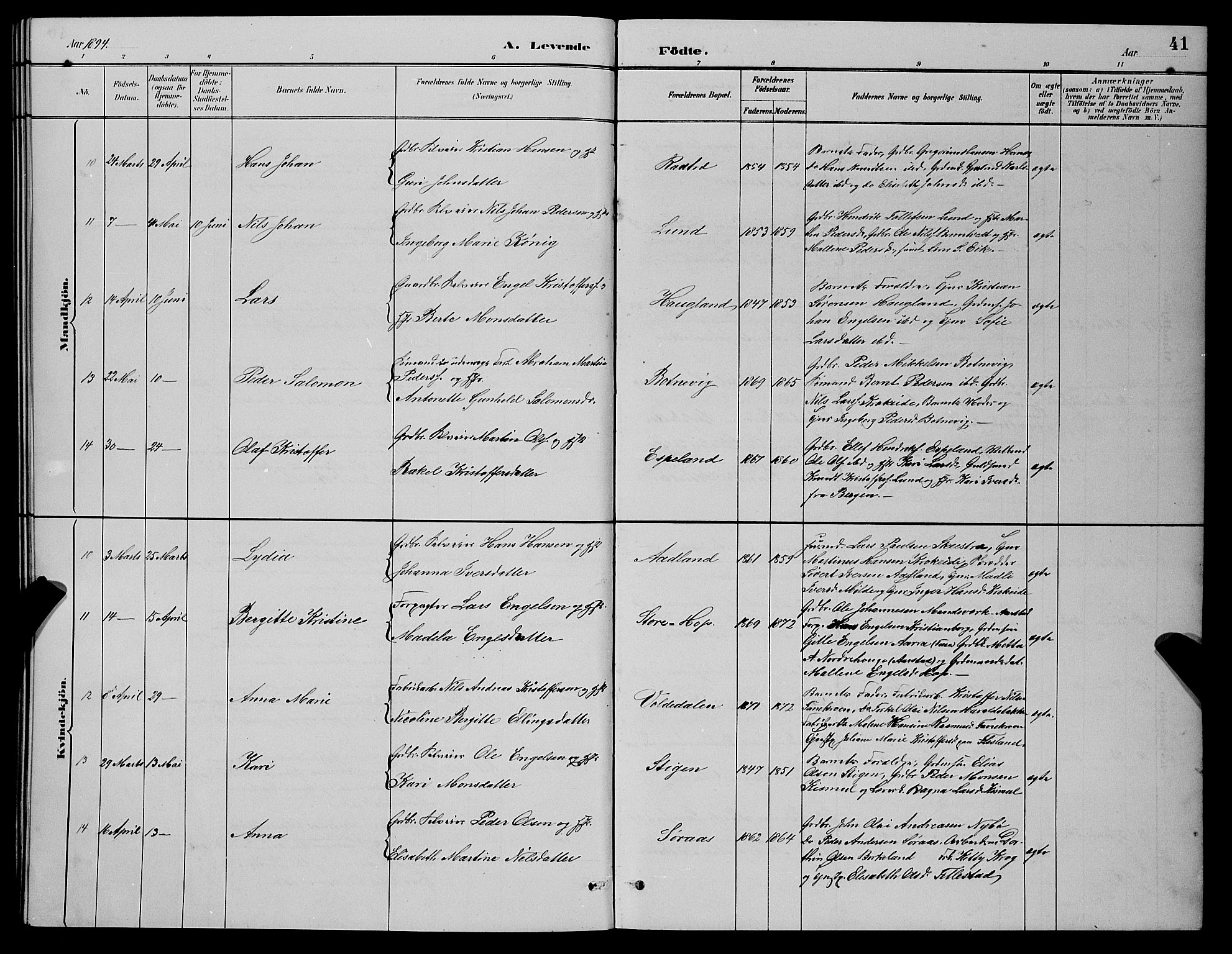 Fana Sokneprestembete, SAB/A-75101/H/Hab/Haba/L0002: Parish register (copy) no. A 2, 1889-1895, p. 41