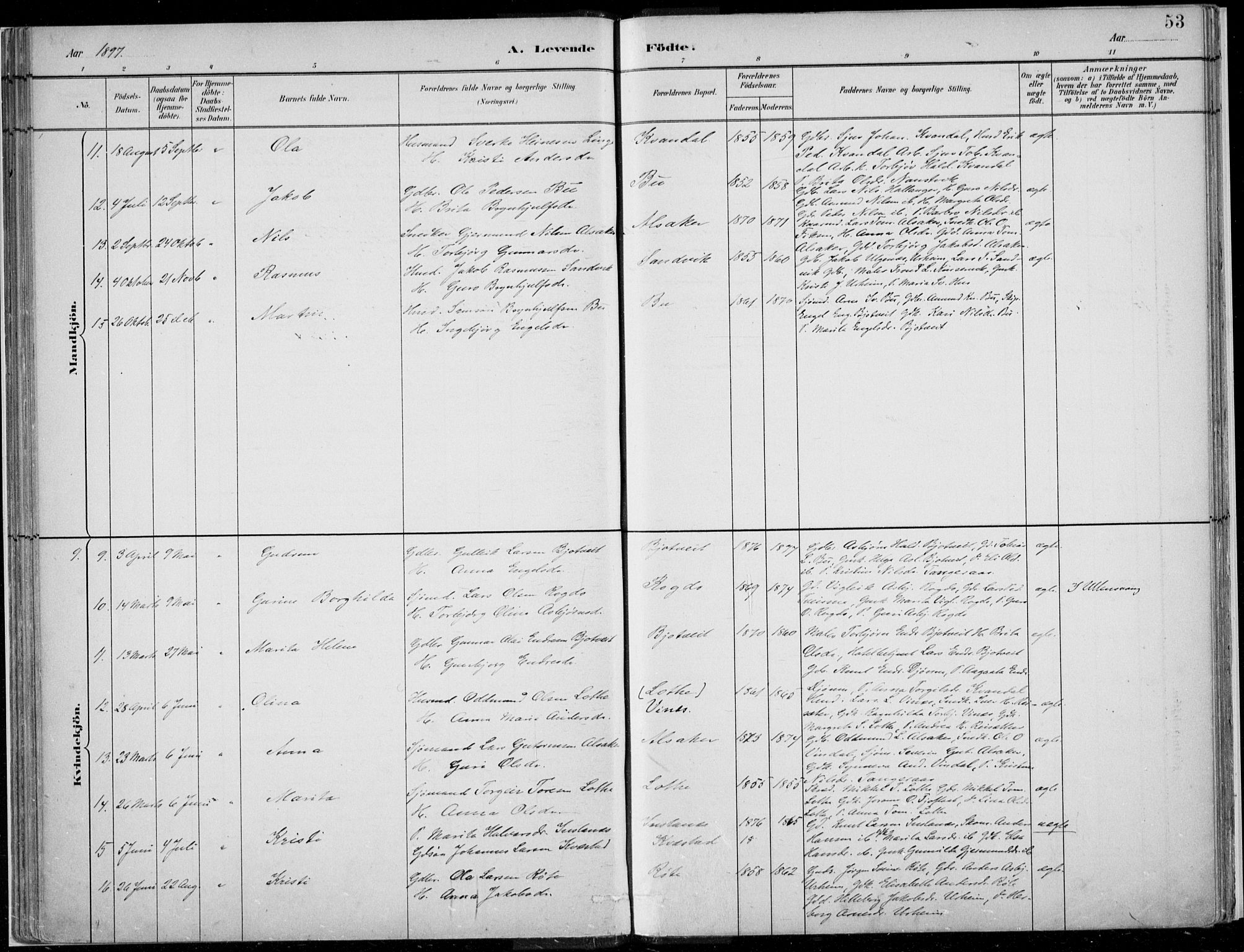 Ullensvang sokneprestembete, SAB/A-78701/H/Haa: Parish register (official) no. E  1, 1882-1921, p. 53