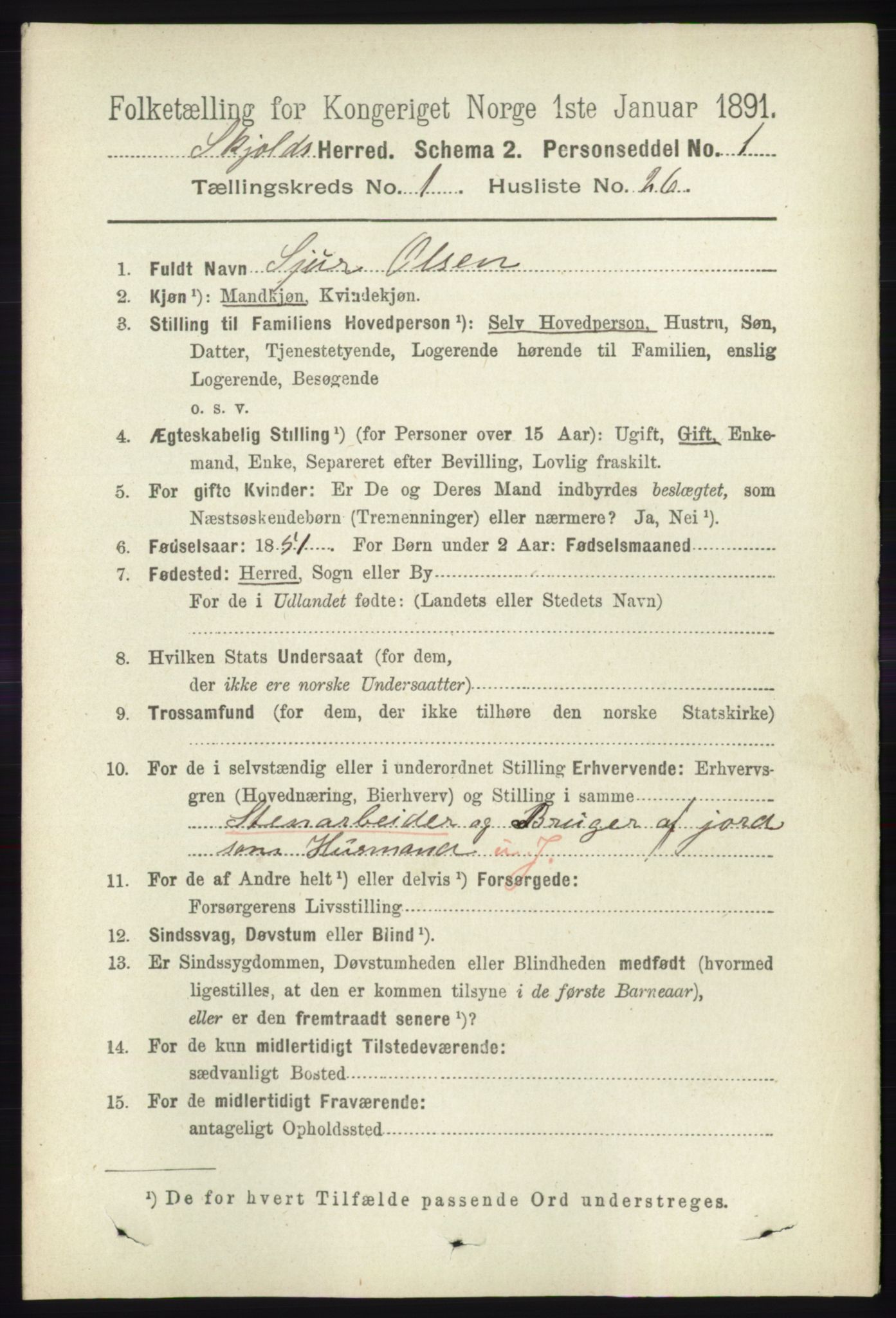 RA, 1891 census for 1154 Skjold, 1891, p. 203