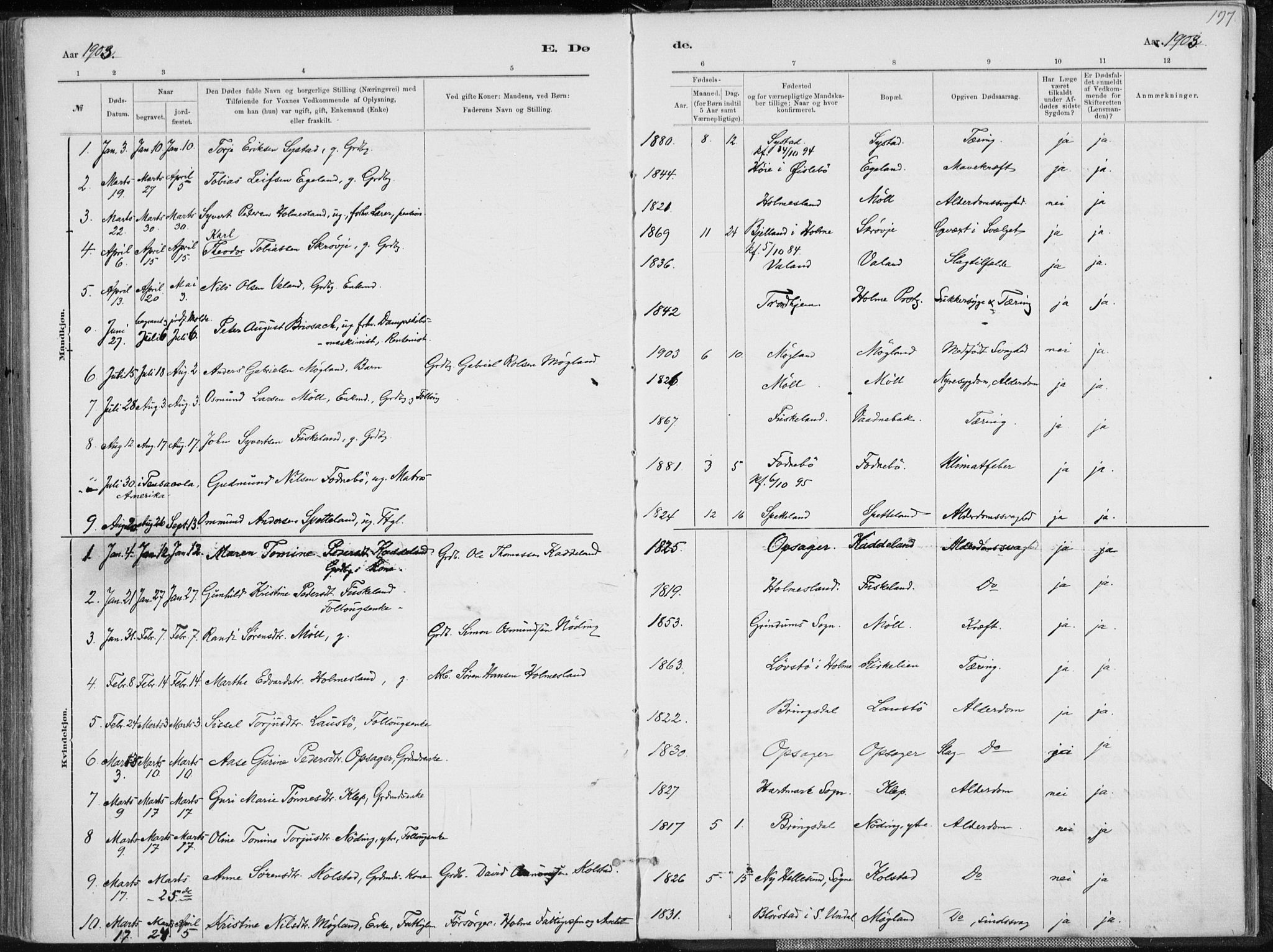 Holum sokneprestkontor, AV/SAK-1111-0022/F/Fa/Faa/L0007: Parish register (official) no. A 7, 1884-1907, p. 197