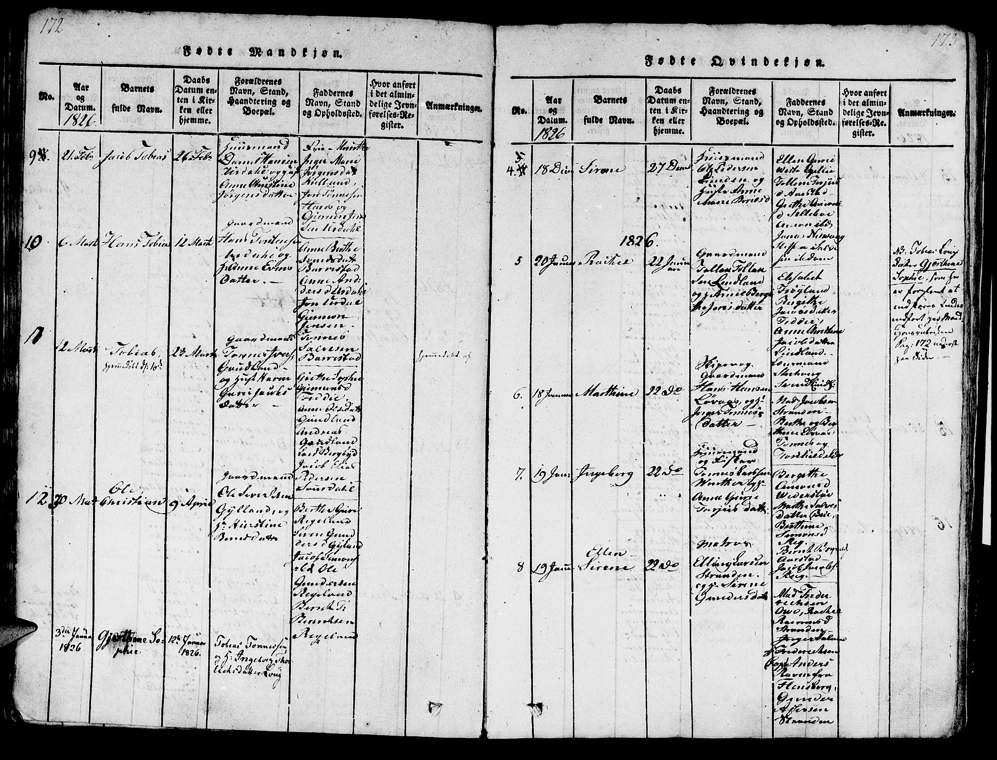 Sokndal sokneprestkontor, AV/SAST-A-101808: Parish register (official) no. A 6, 1815-1826, p. 172-173