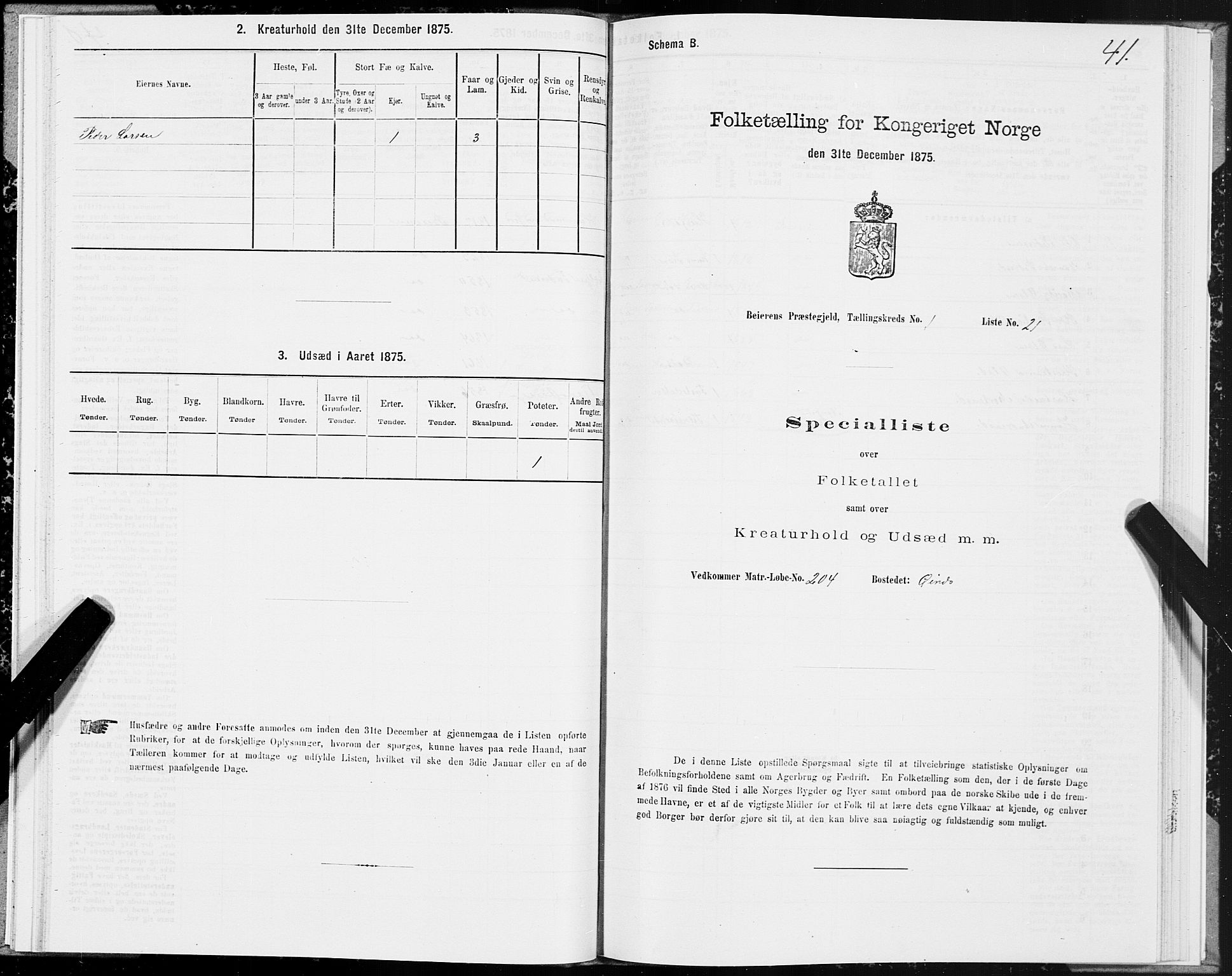 SAT, 1875 census for 1839P Beiarn, 1875, p. 1041