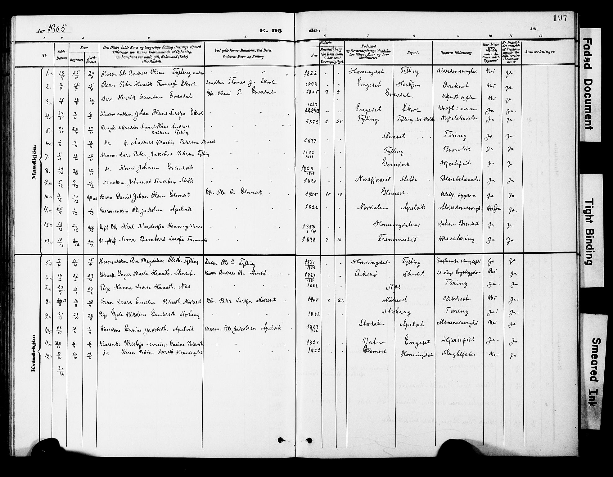 Ministerialprotokoller, klokkerbøker og fødselsregistre - Møre og Romsdal, AV/SAT-A-1454/524/L0366: Parish register (copy) no. 524C07, 1900-1931, p. 197