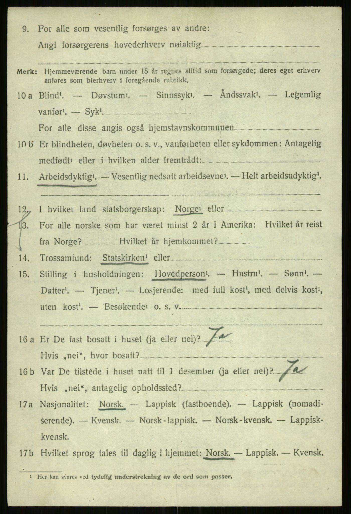 SATØ, 1920 census for Lenvik, 1920, p. 4651