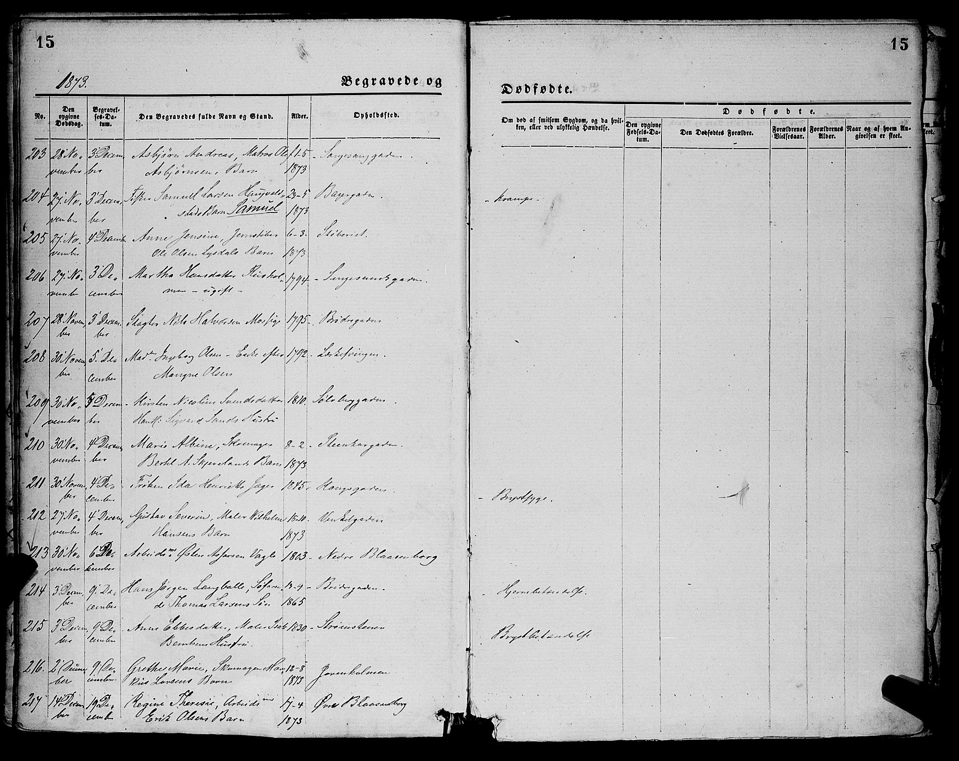 St. Petri sokneprestkontor, AV/SAST-A-101813/001/30/30BA/L0012: Parish register (official) no. A 12, 1873-1878, p. 15