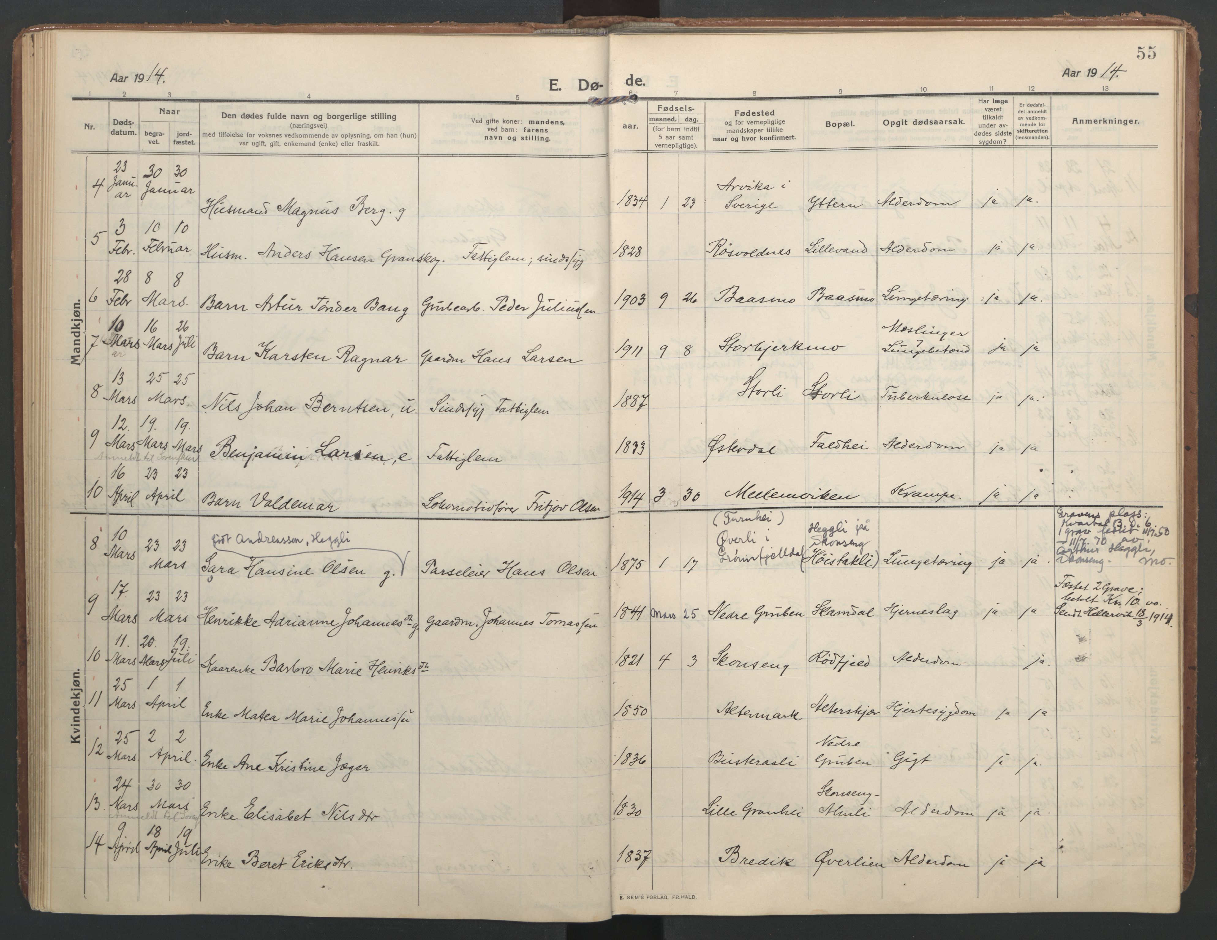 Ministerialprotokoller, klokkerbøker og fødselsregistre - Nordland, SAT/A-1459/827/L0405: Parish register (official) no. 827A17, 1912-1925, p. 55