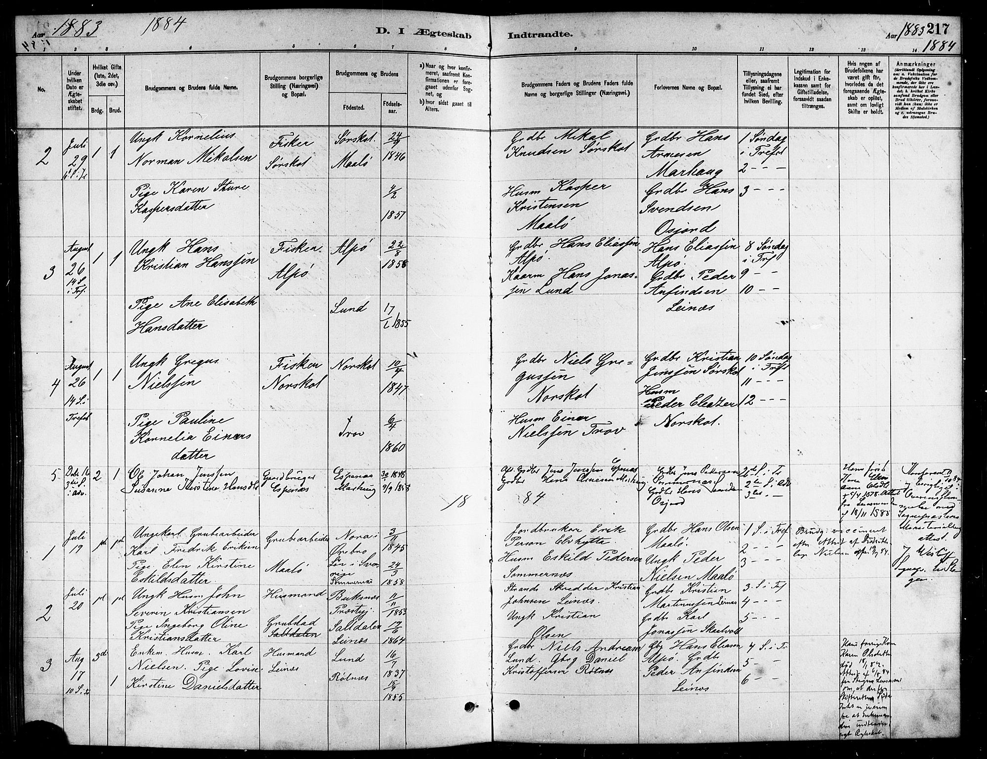 Ministerialprotokoller, klokkerbøker og fødselsregistre - Nordland, AV/SAT-A-1459/857/L0828: Parish register (copy) no. 857C03, 1879-1908, p. 217