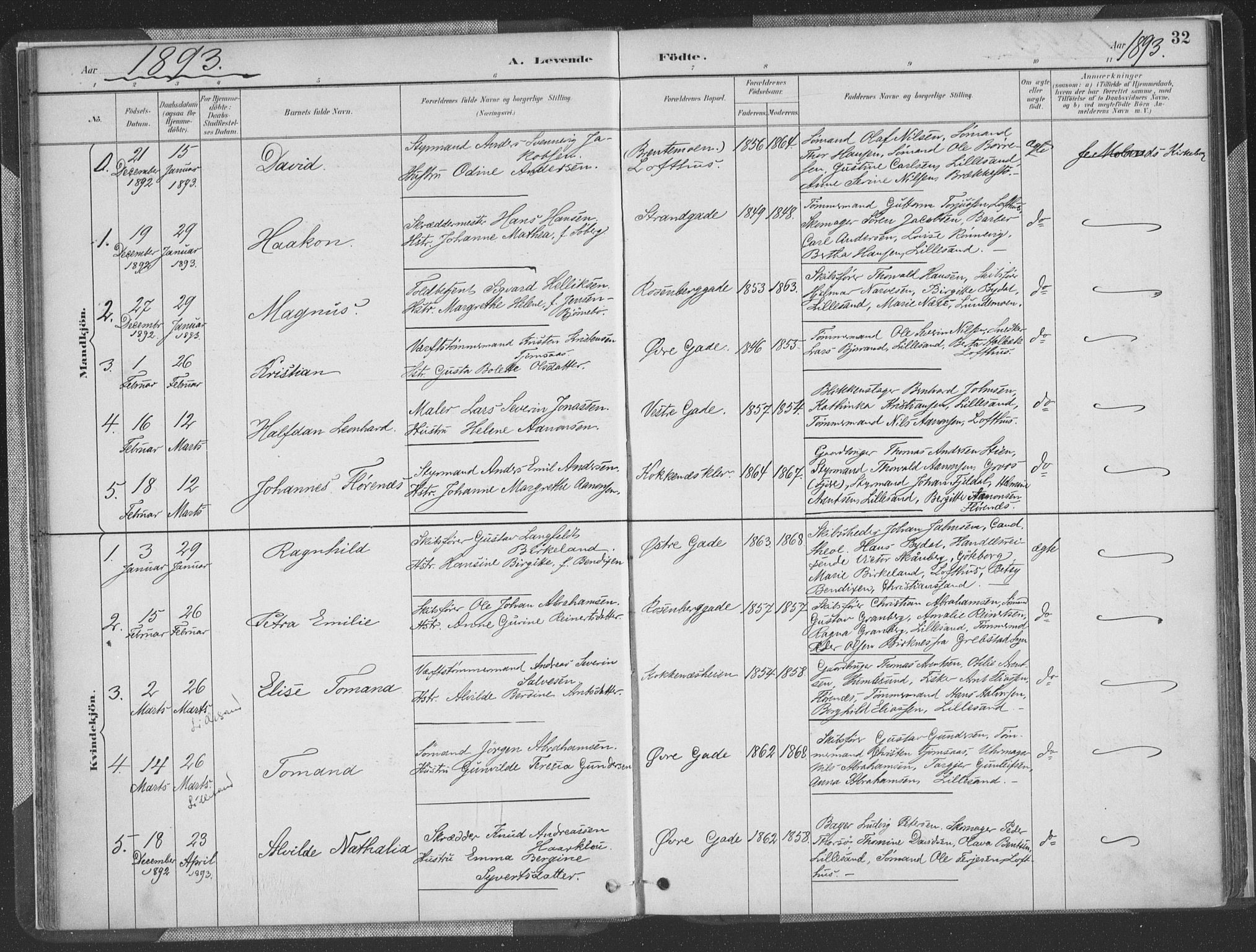 Vestre Moland sokneprestkontor, SAK/1111-0046/F/Fa/Faa/L0001: Parish register (official) no. A 1, 1884-1899, p. 33