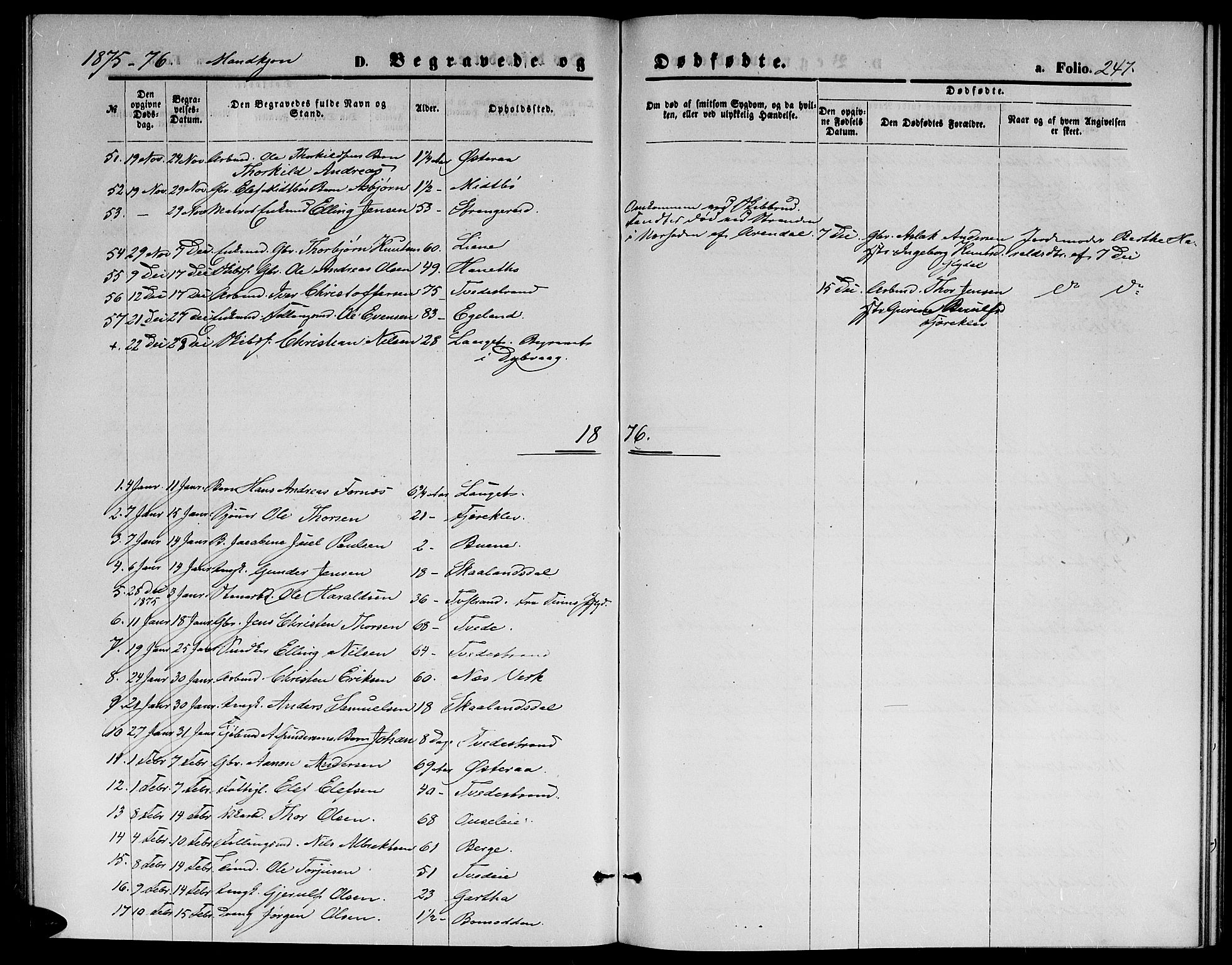 Holt sokneprestkontor, AV/SAK-1111-0021/F/Fb/L0009: Parish register (copy) no. B 9, 1871-1883, p. 247