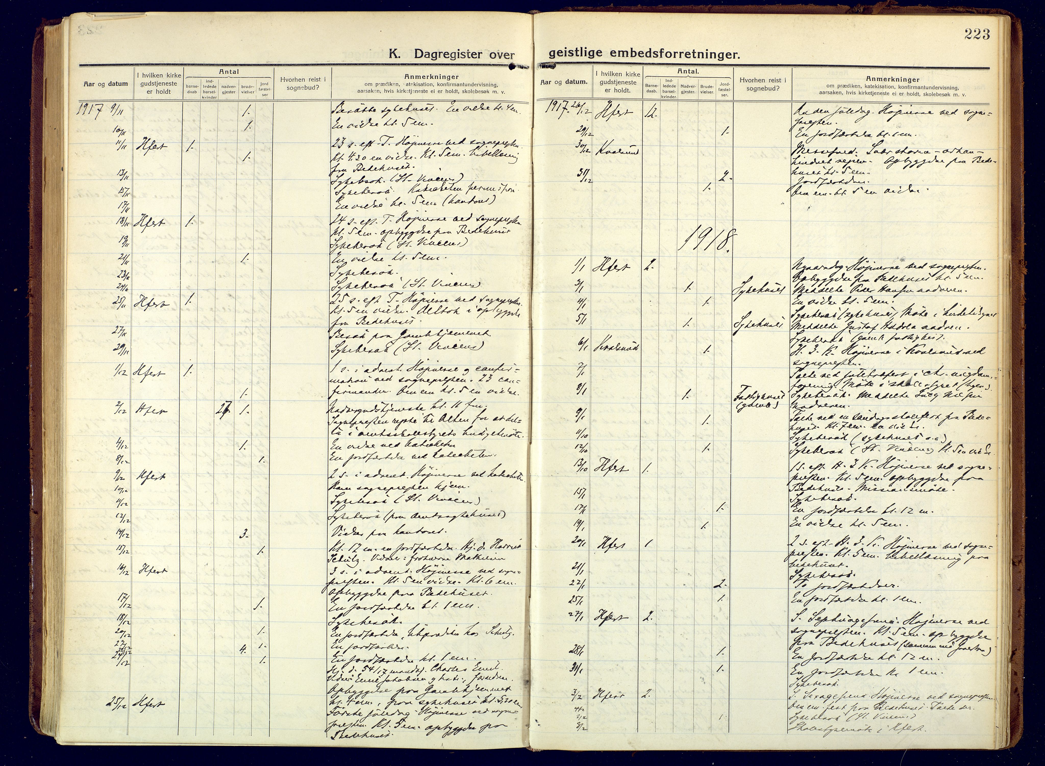 Hammerfest sokneprestkontor, SATØ/S-1347/H/Ha/L0015.kirke: Parish register (official) no. 15, 1916-1923, p. 223