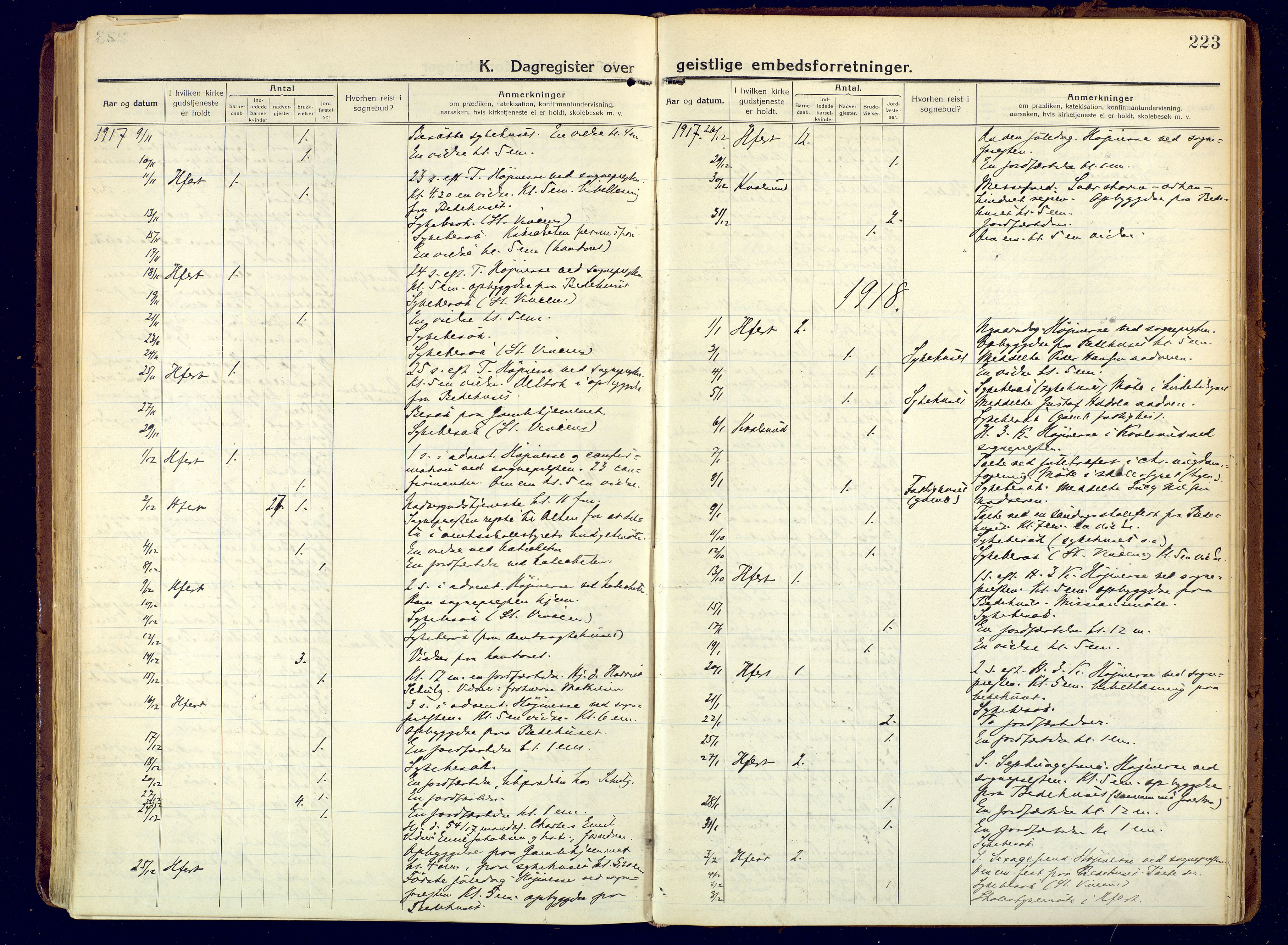 Hammerfest sokneprestkontor, AV/SATØ-S-1347/H/Ha/L0015.kirke: Parish register (official) no. 15, 1916-1923, p. 223