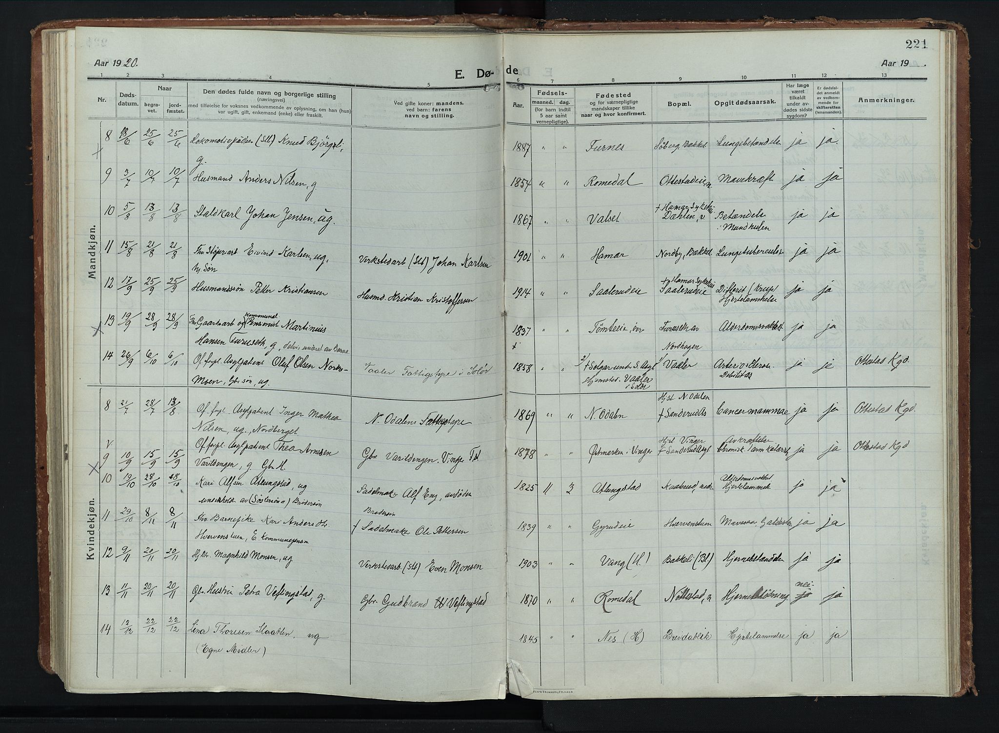 Stange prestekontor, AV/SAH-PREST-002/K/L0028: Parish register (official) no. 28, 1913-1932, p. 221