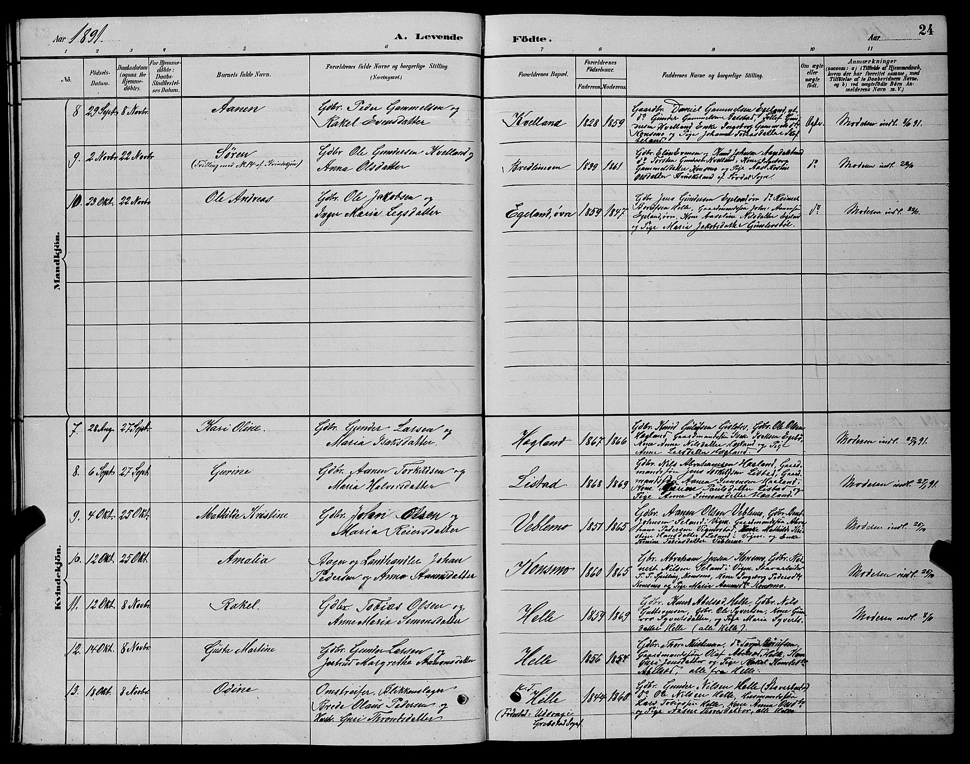 Nord-Audnedal sokneprestkontor, SAK/1111-0032/F/Fb/Fba/L0003: Parish register (copy) no. B 3, 1881-1900, p. 24