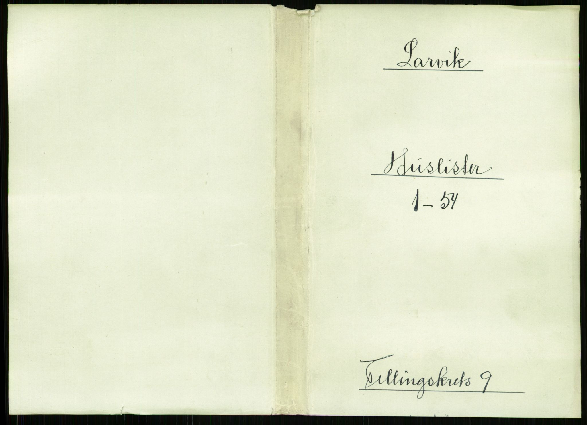 RA, 1891 census for 0707 Larvik, 1891, p. 1119