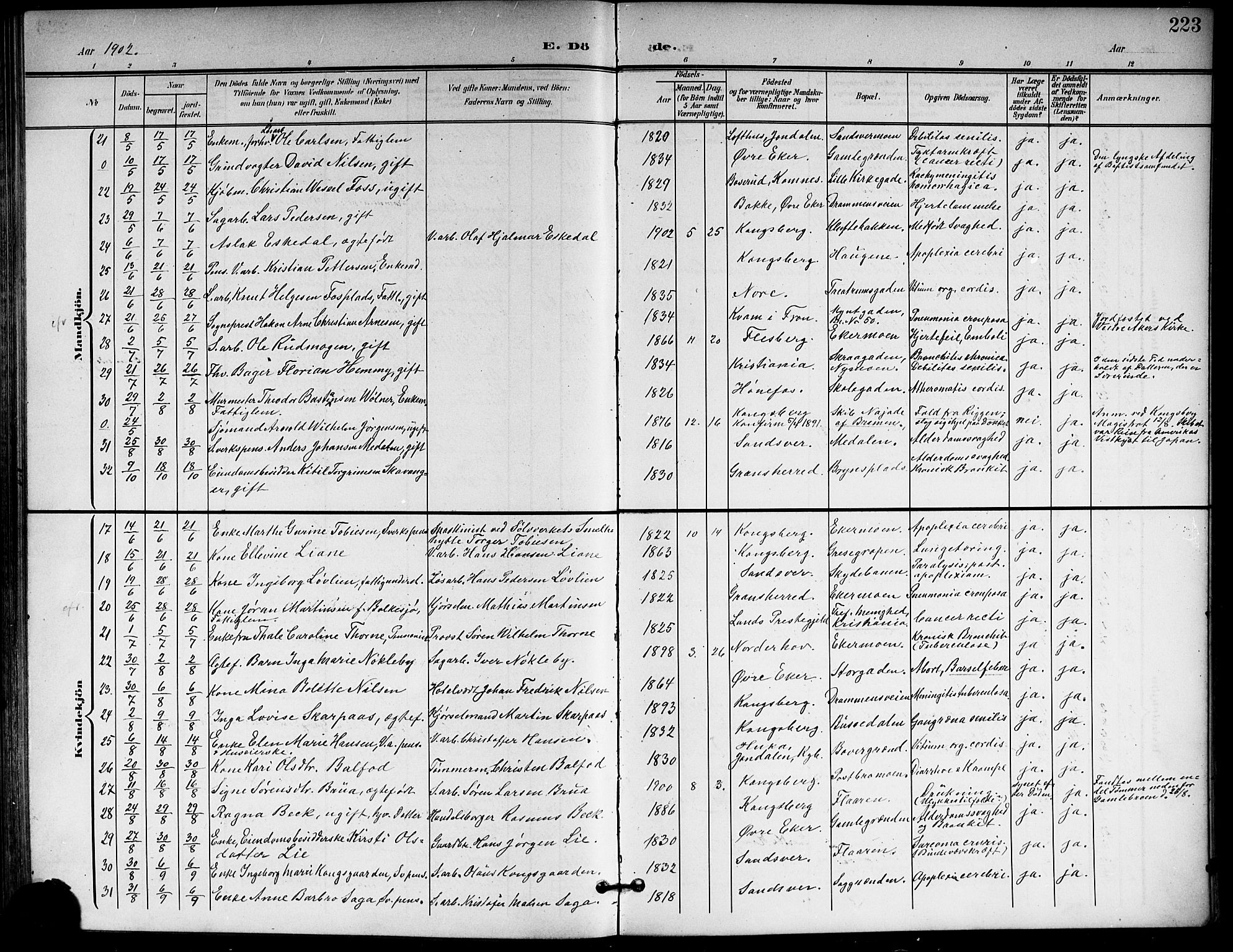 Kongsberg kirkebøker, AV/SAKO-A-22/G/Ga/L0007: Parish register (copy) no. 7, 1901-1915, p. 223