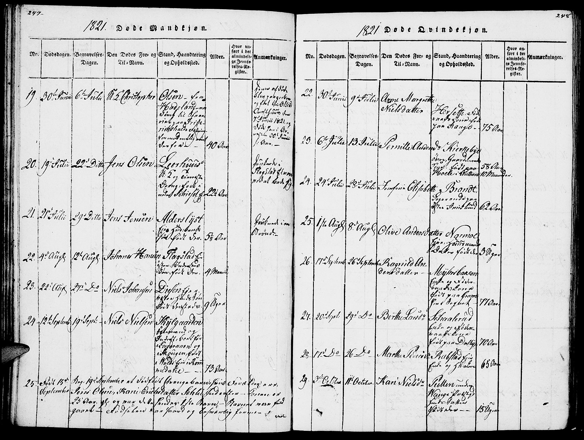 Vang prestekontor, Hedmark, AV/SAH-PREST-008/H/Ha/Haa/L0007: Parish register (official) no. 7, 1813-1826, p. 247-248