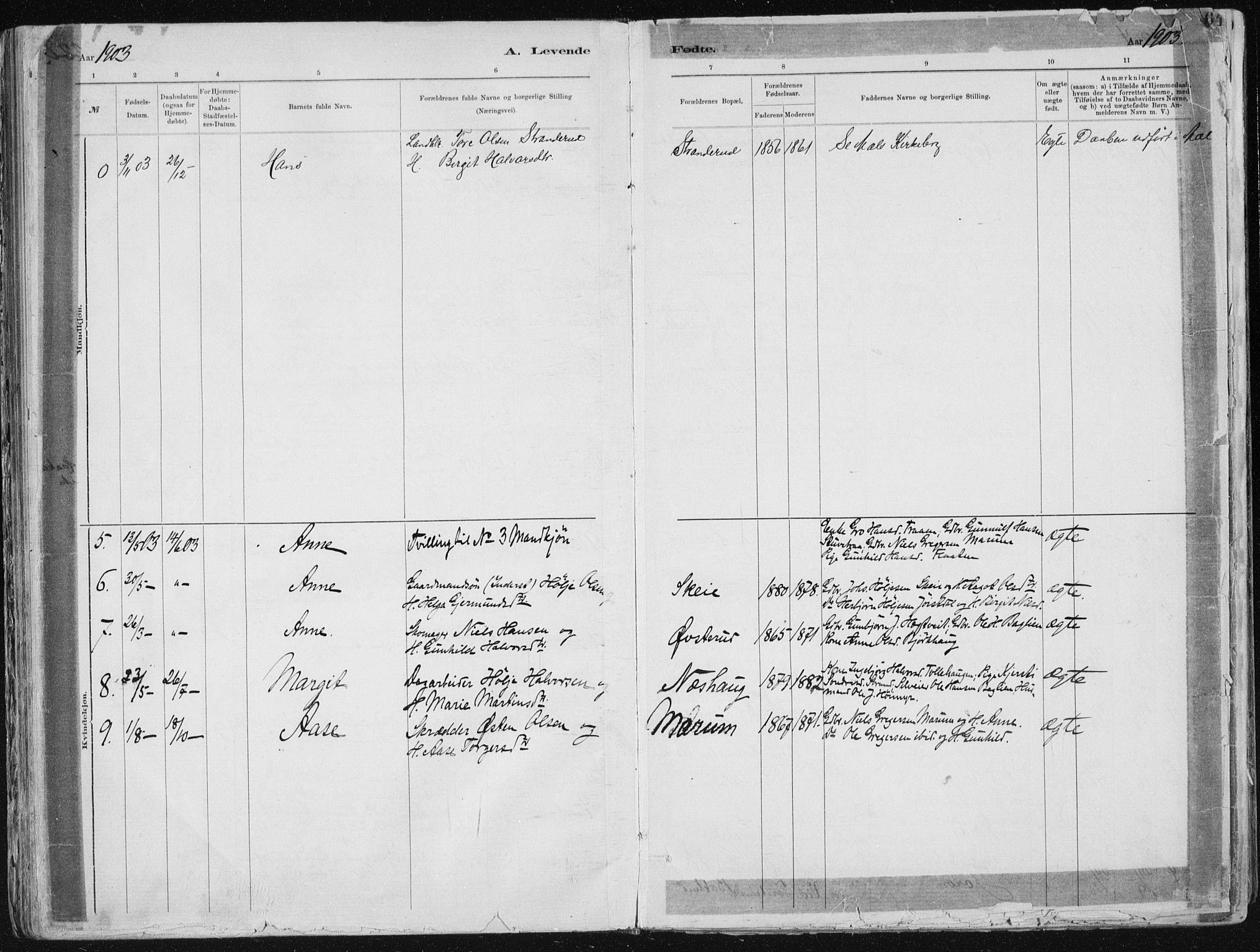 Tinn kirkebøker, SAKO/A-308/F/Fa/L0007: Parish register (official) no. I 7, 1878-1922, p. 64