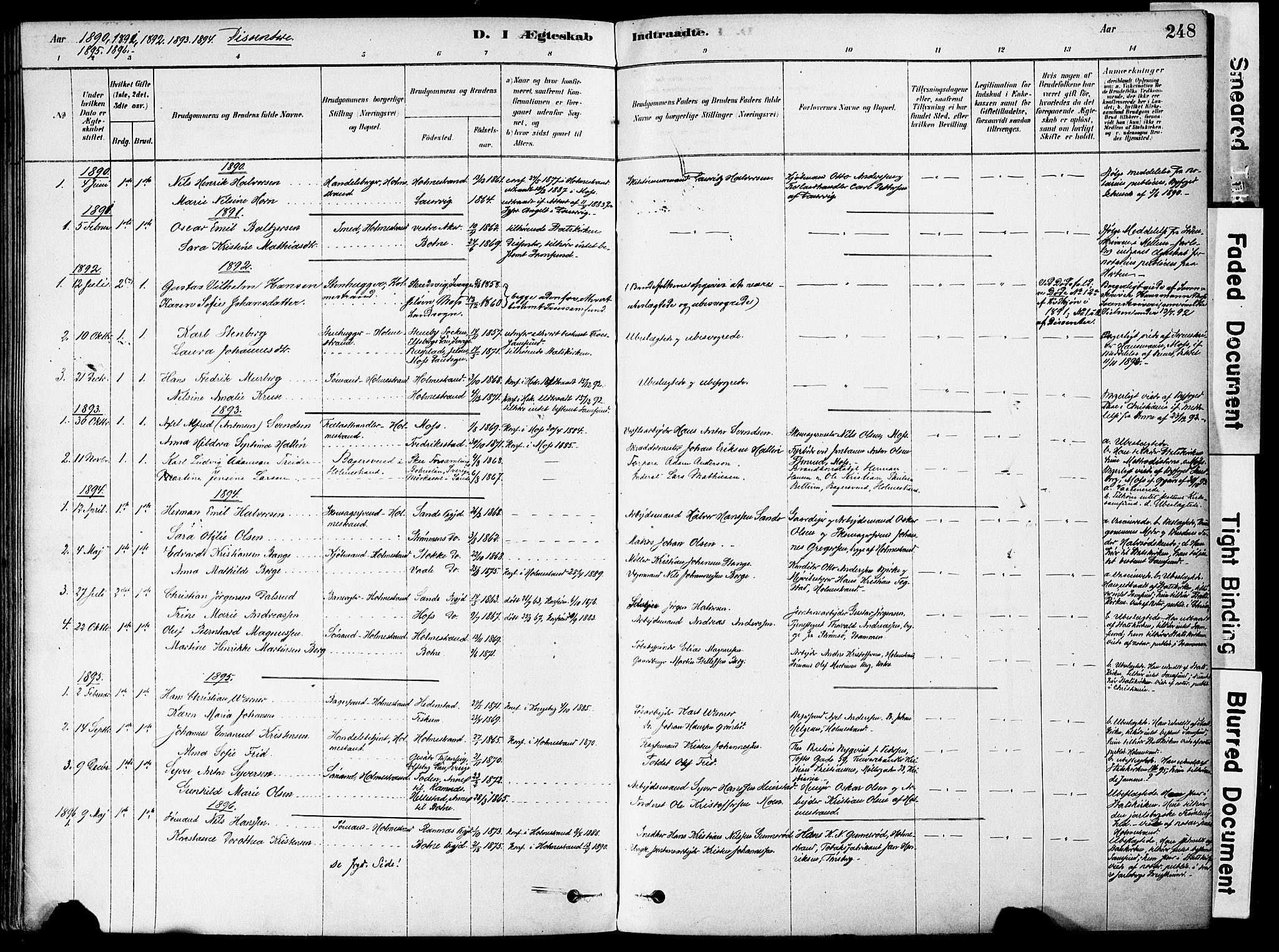 Holmestrand kirkebøker, AV/SAKO-A-346/F/Fa/L0004: Parish register (official) no. 4, 1880-1901, p. 248