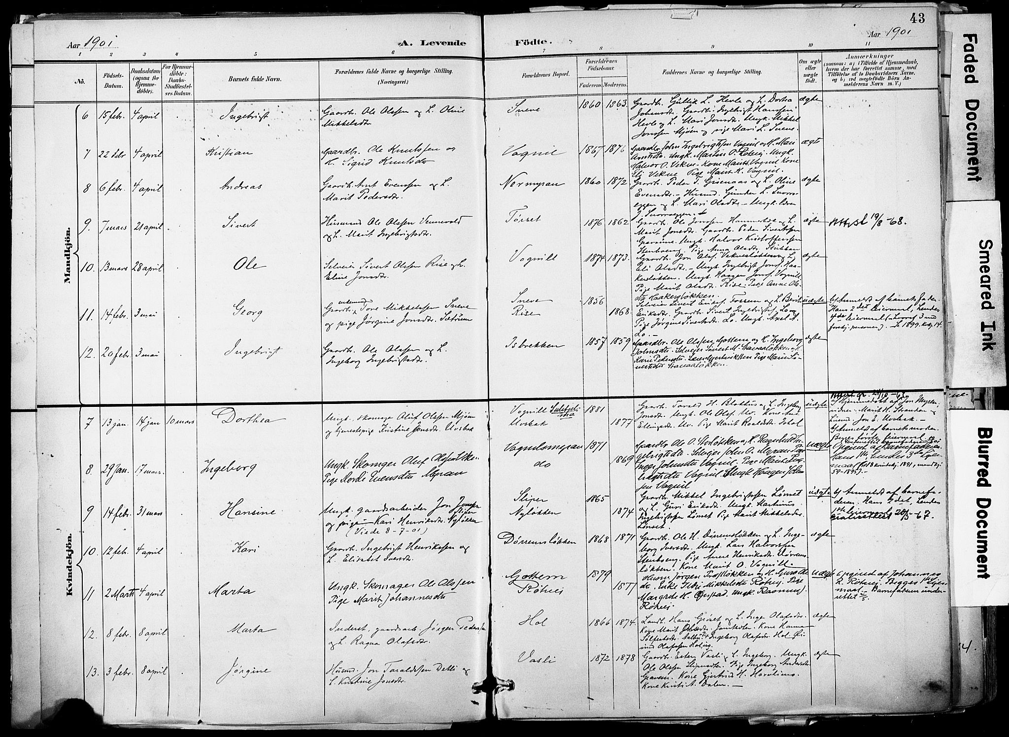 Ministerialprotokoller, klokkerbøker og fødselsregistre - Sør-Trøndelag, SAT/A-1456/678/L0902: Parish register (official) no. 678A11, 1895-1911, p. 43