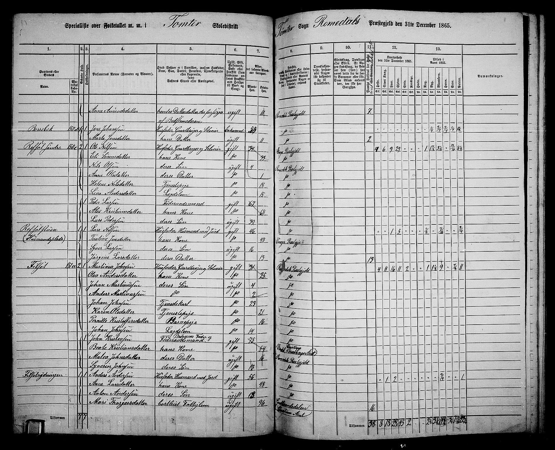 RA, 1865 census for Romedal, 1865, p. 133