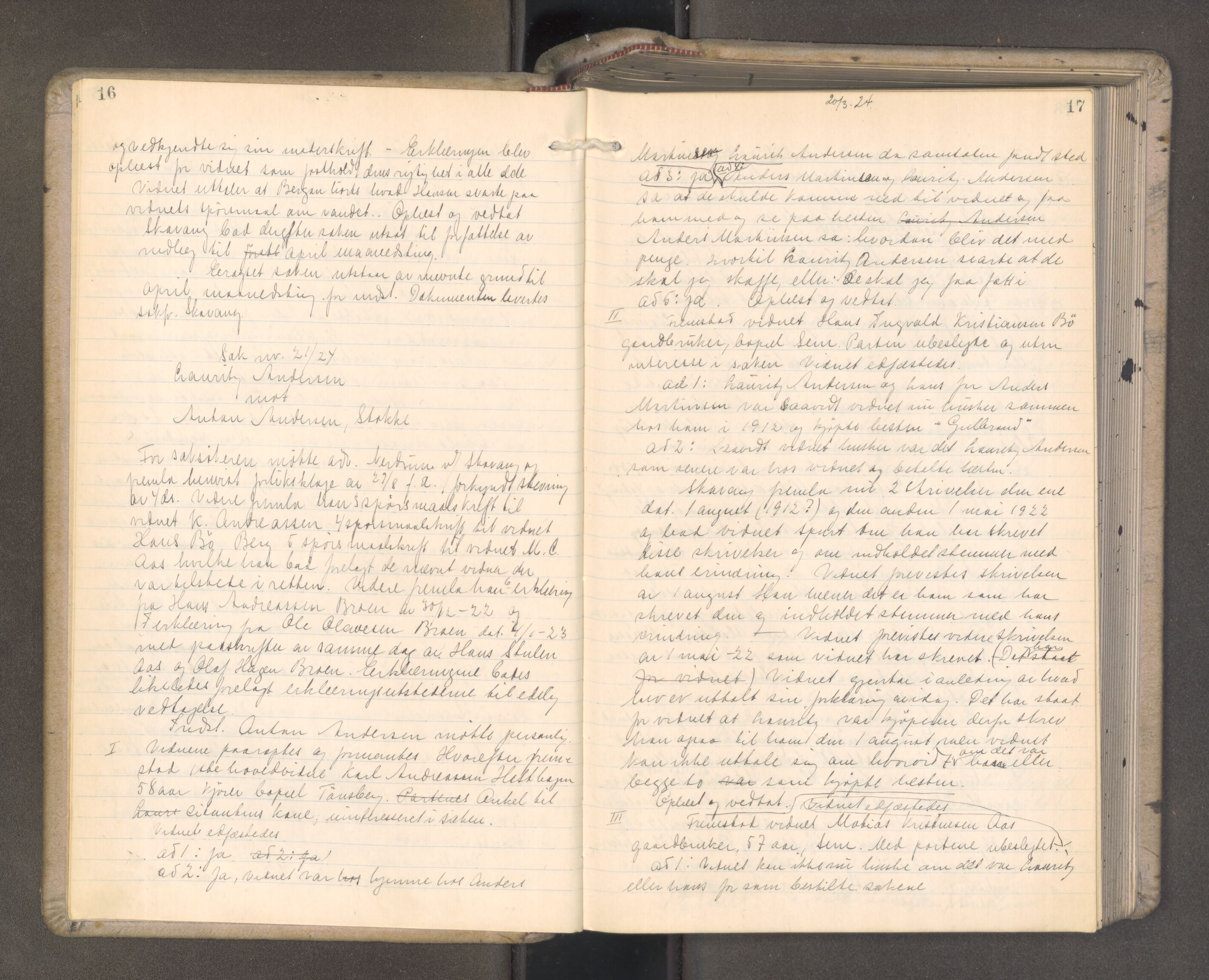 Søndre Jarlsberg sorenskriveri, AV/SAKO-A-129/F/Fa/L0053: Tingbok, 1924-1926, p. 16-17