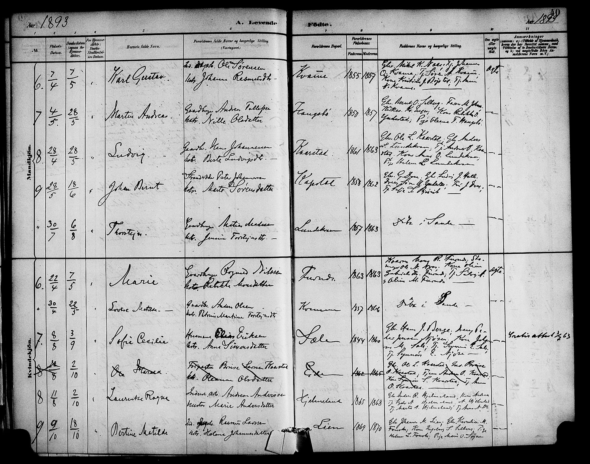 Gaular sokneprestembete, SAB/A-80001/H/Haa: Parish register (official) no. C 1, 1882-1897, p. 40