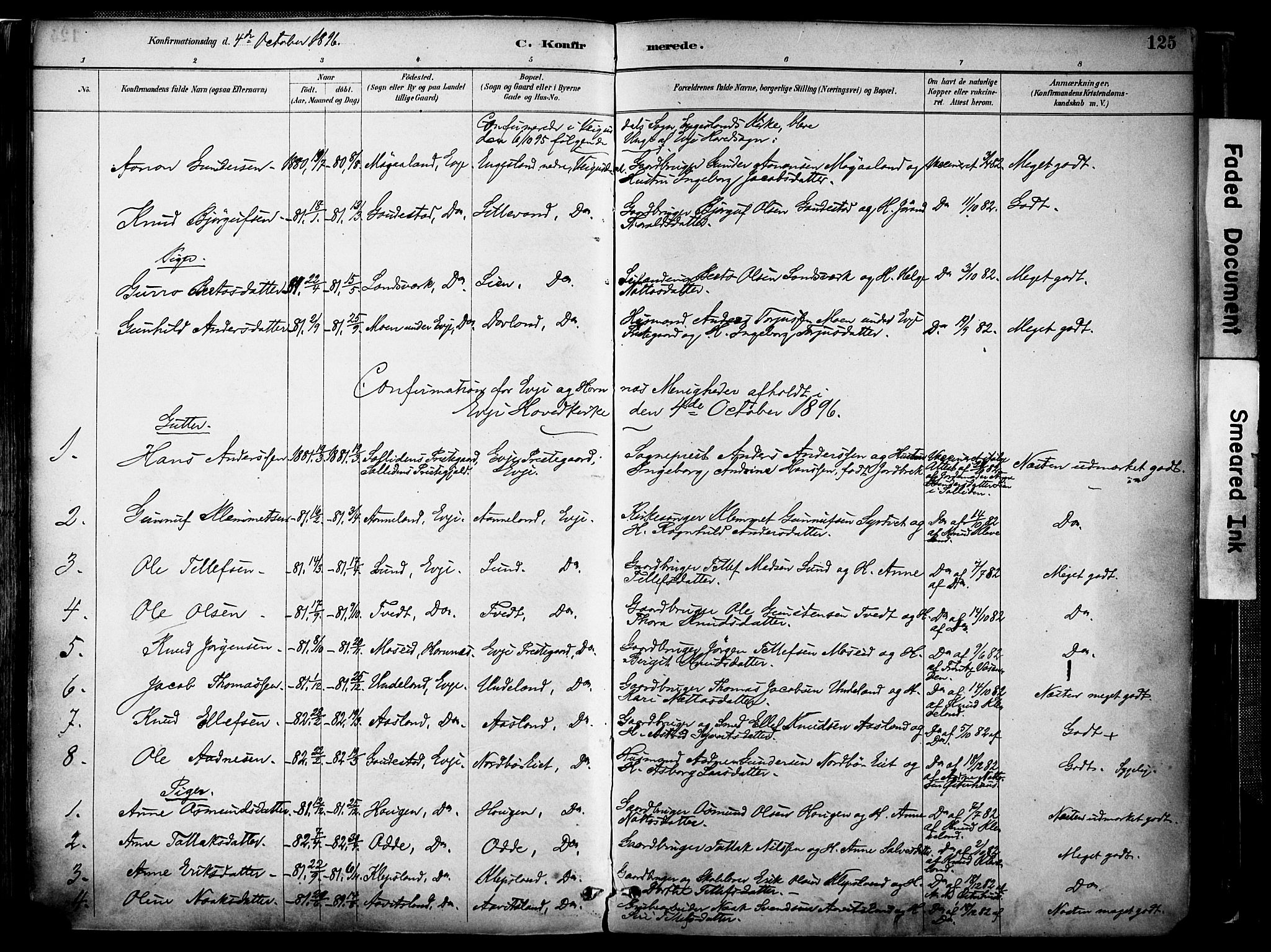 Evje sokneprestkontor, AV/SAK-1111-0008/F/Fa/Faa/L0007: Parish register (official) no. A 7, 1884-1909, p. 125