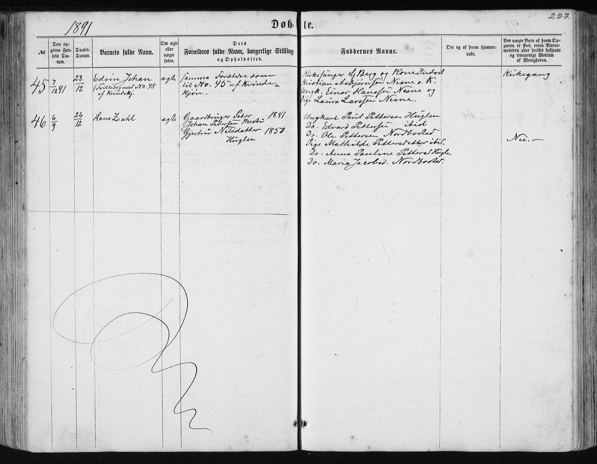 Ministerialprotokoller, klokkerbøker og fødselsregistre - Nordland, AV/SAT-A-1459/838/L0556: Parish register (copy) no. 838C03, 1861-1893, p. 223