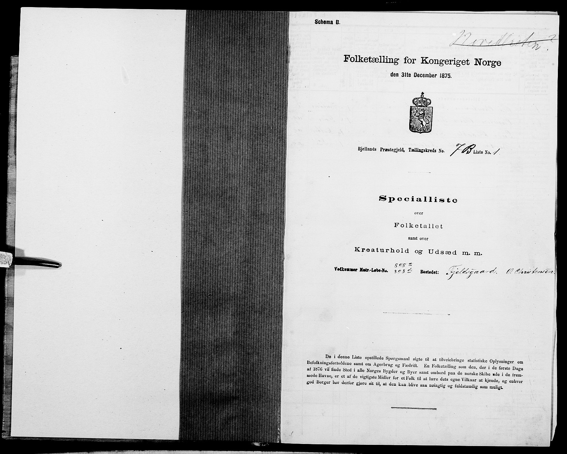 SAK, 1875 census for 1024P Bjelland, 1875, p. 755