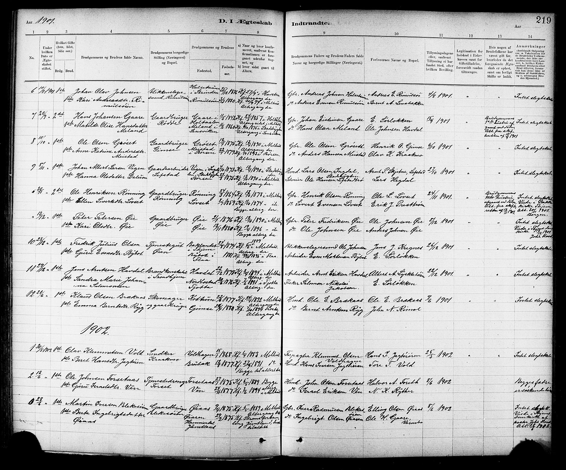 Ministerialprotokoller, klokkerbøker og fødselsregistre - Sør-Trøndelag, AV/SAT-A-1456/691/L1094: Parish register (copy) no. 691C05, 1879-1911, p. 219