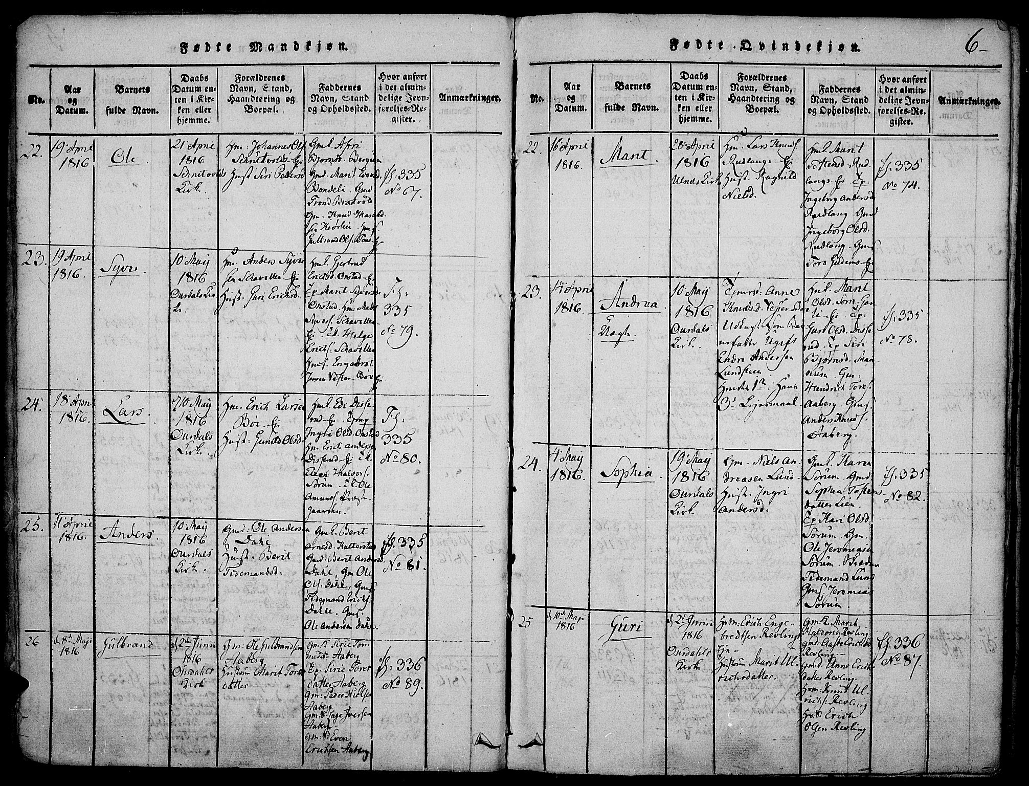 Nord-Aurdal prestekontor, AV/SAH-PREST-132/H/Ha/Haa/L0002: Parish register (official) no. 2, 1816-1828, p. 6